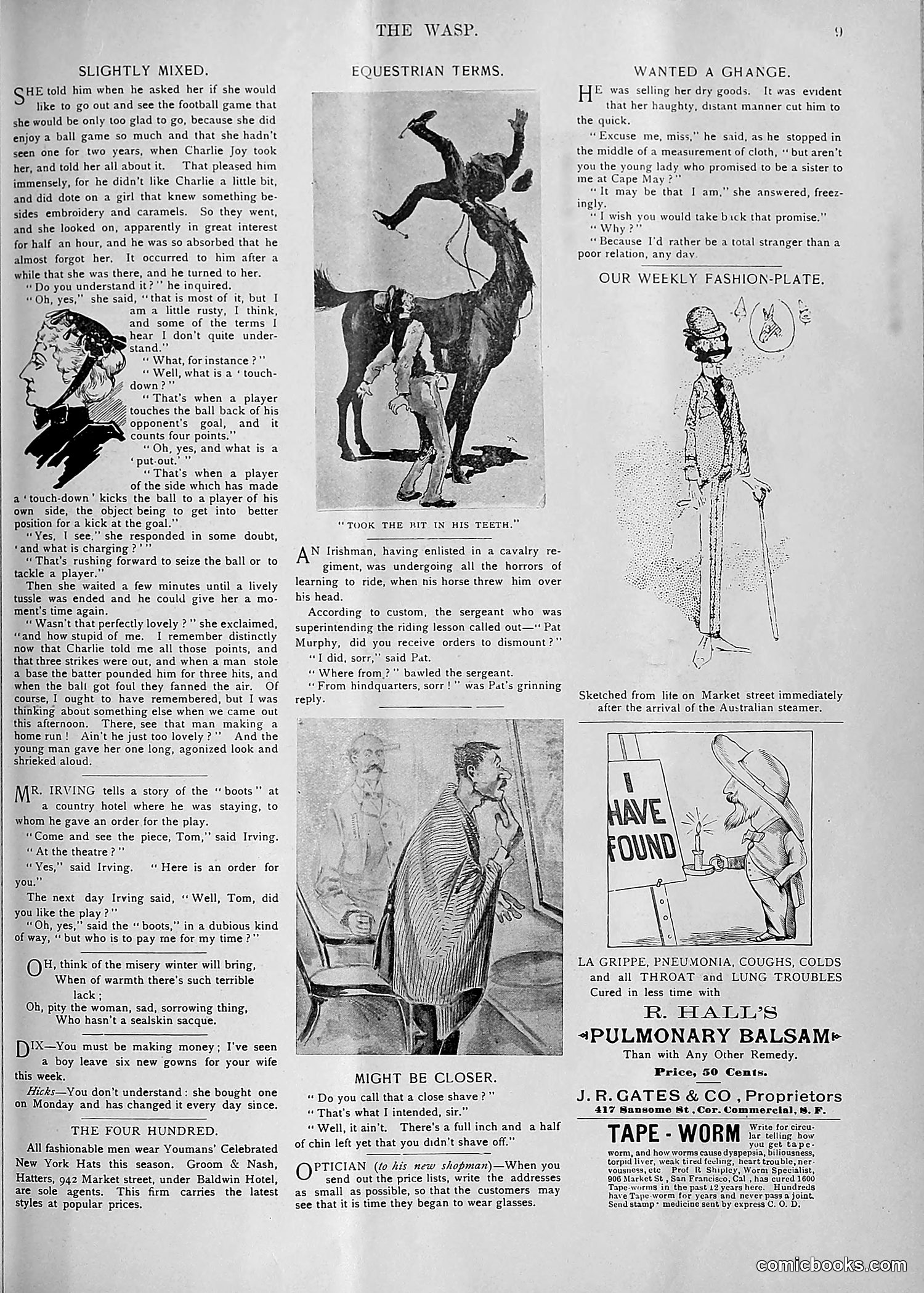 The Wasp — 1893 — page 410 of 578