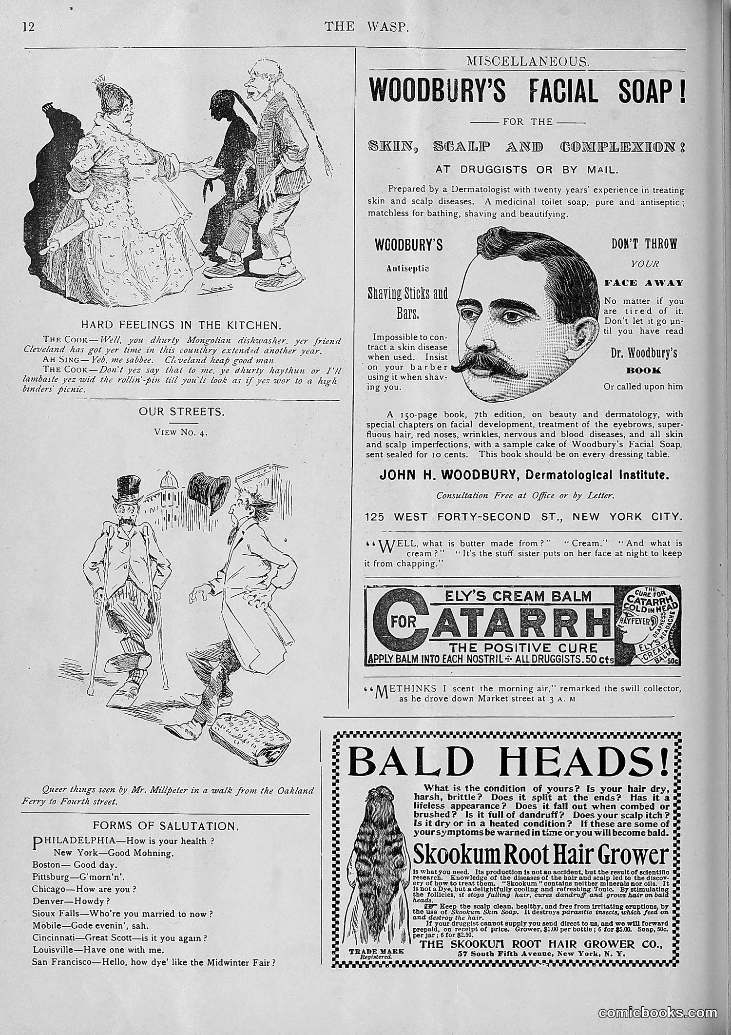The Wasp — 1893 — page 413 of 578