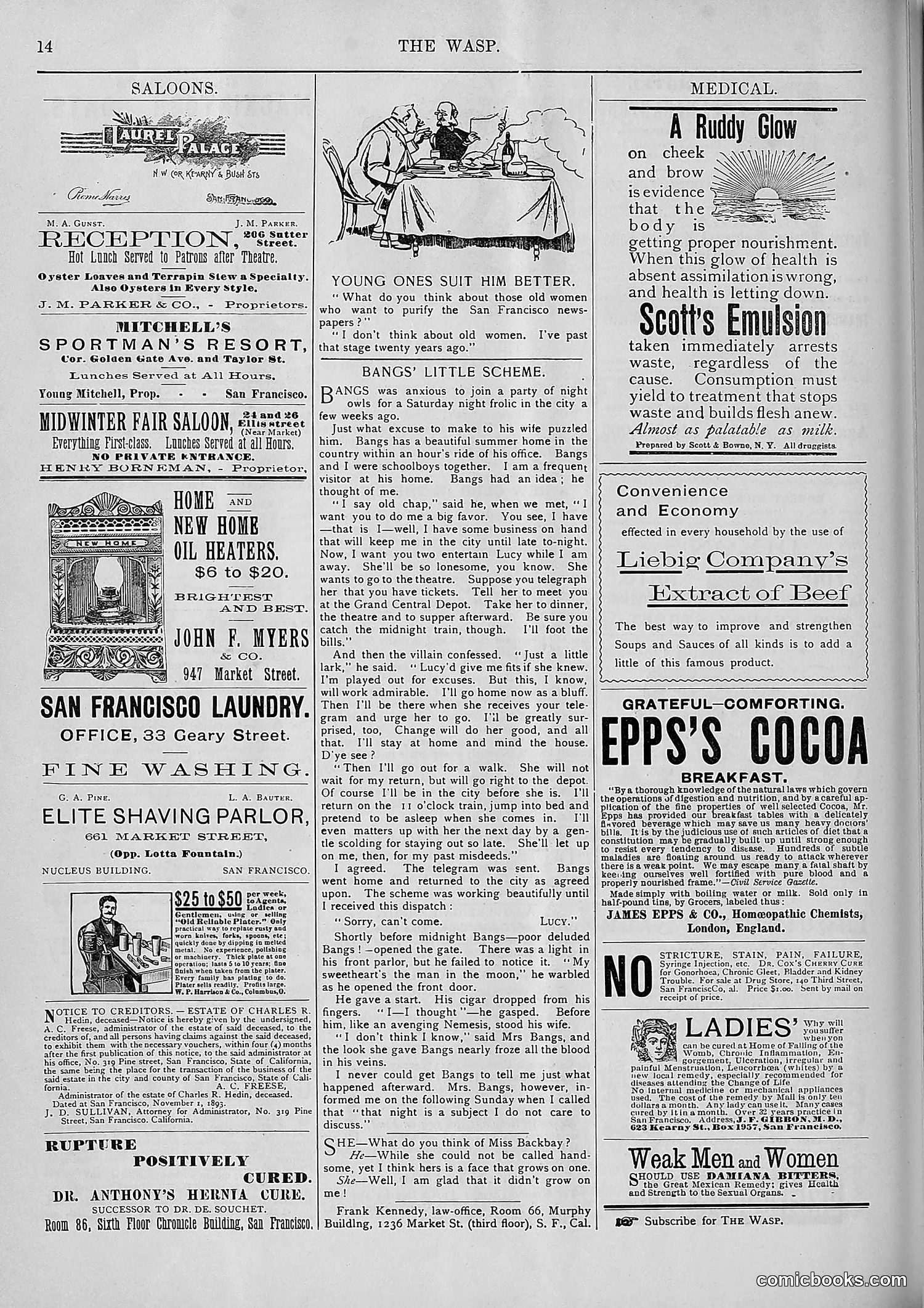 The Wasp — 1893 — page 415 of 578