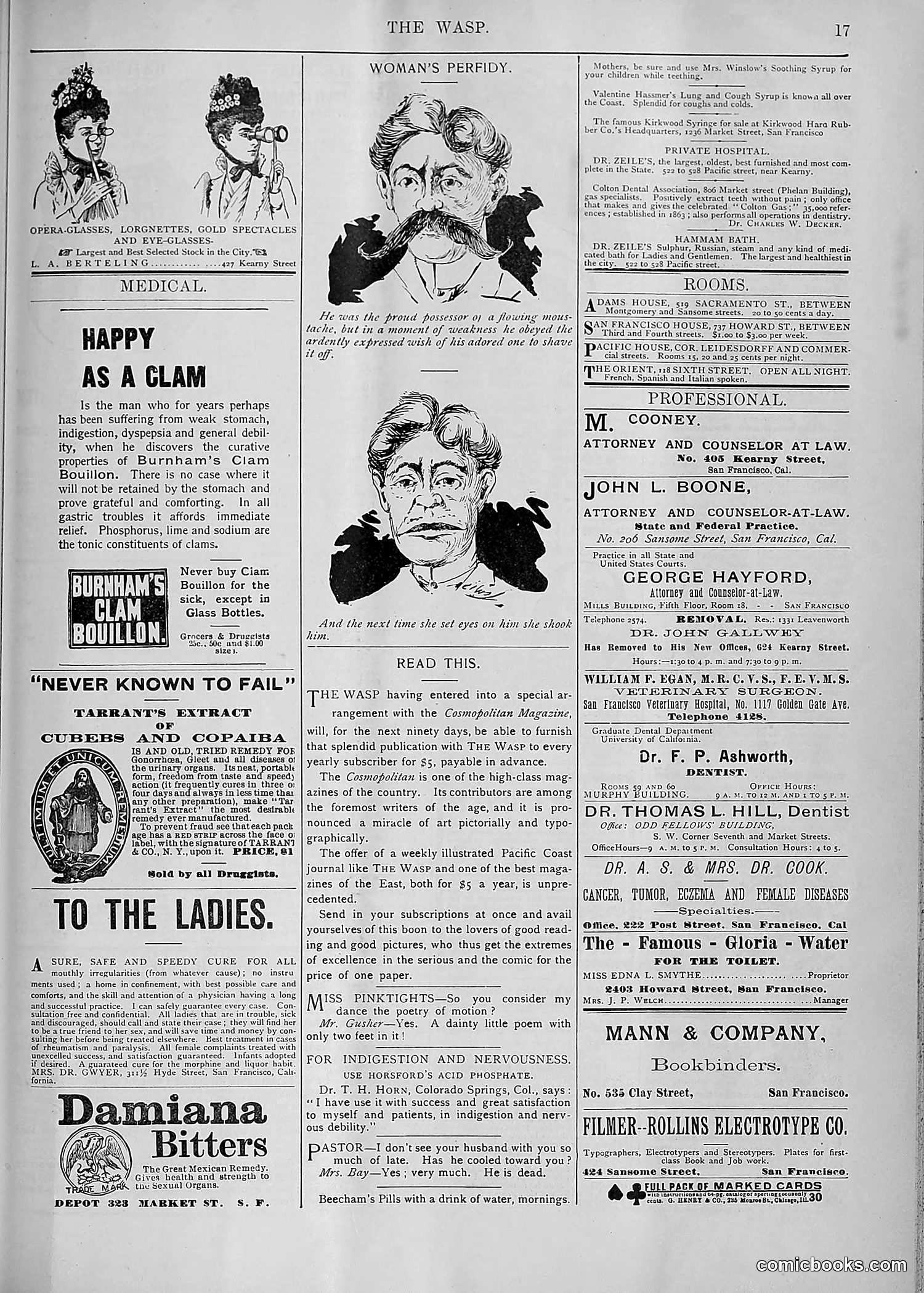 The Wasp — 1893 — page 418 of 578