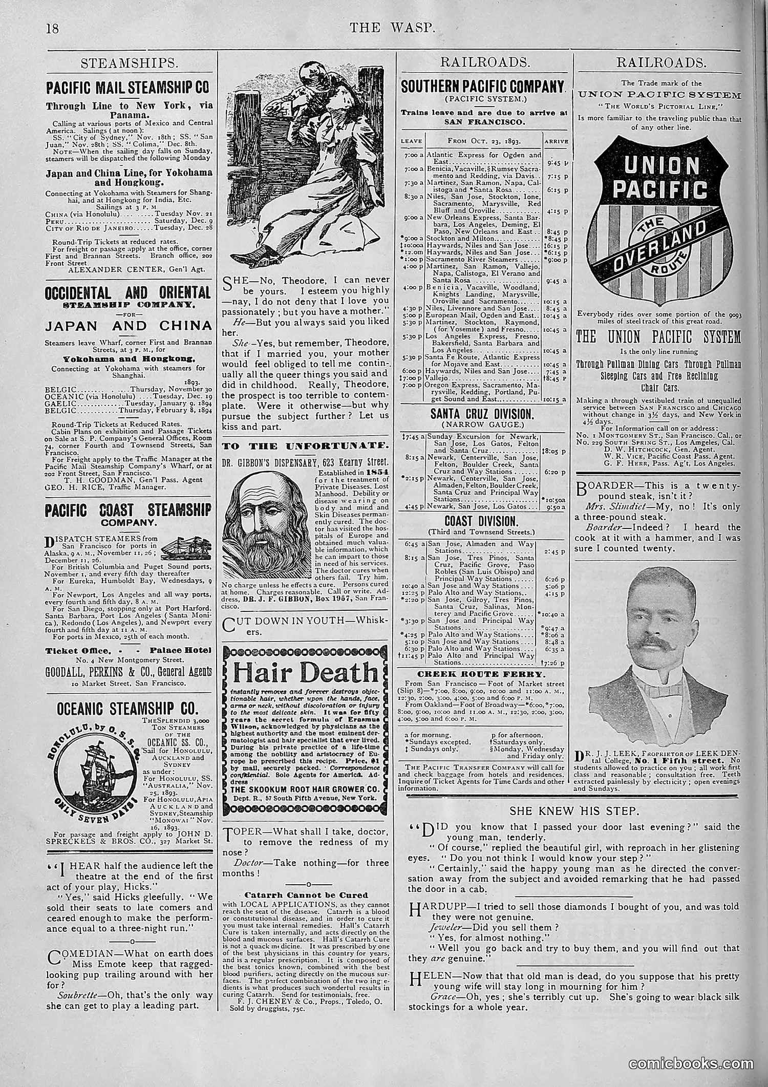 The Wasp — 1893 — page 419 of 578