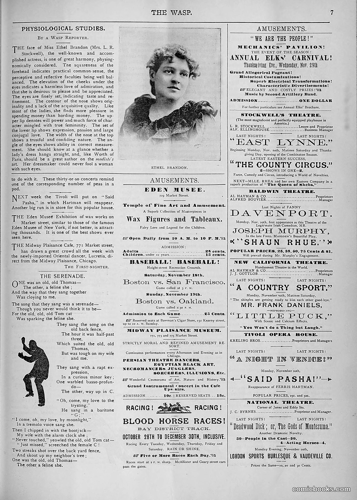 The Wasp — 1893 — page 428 of 578