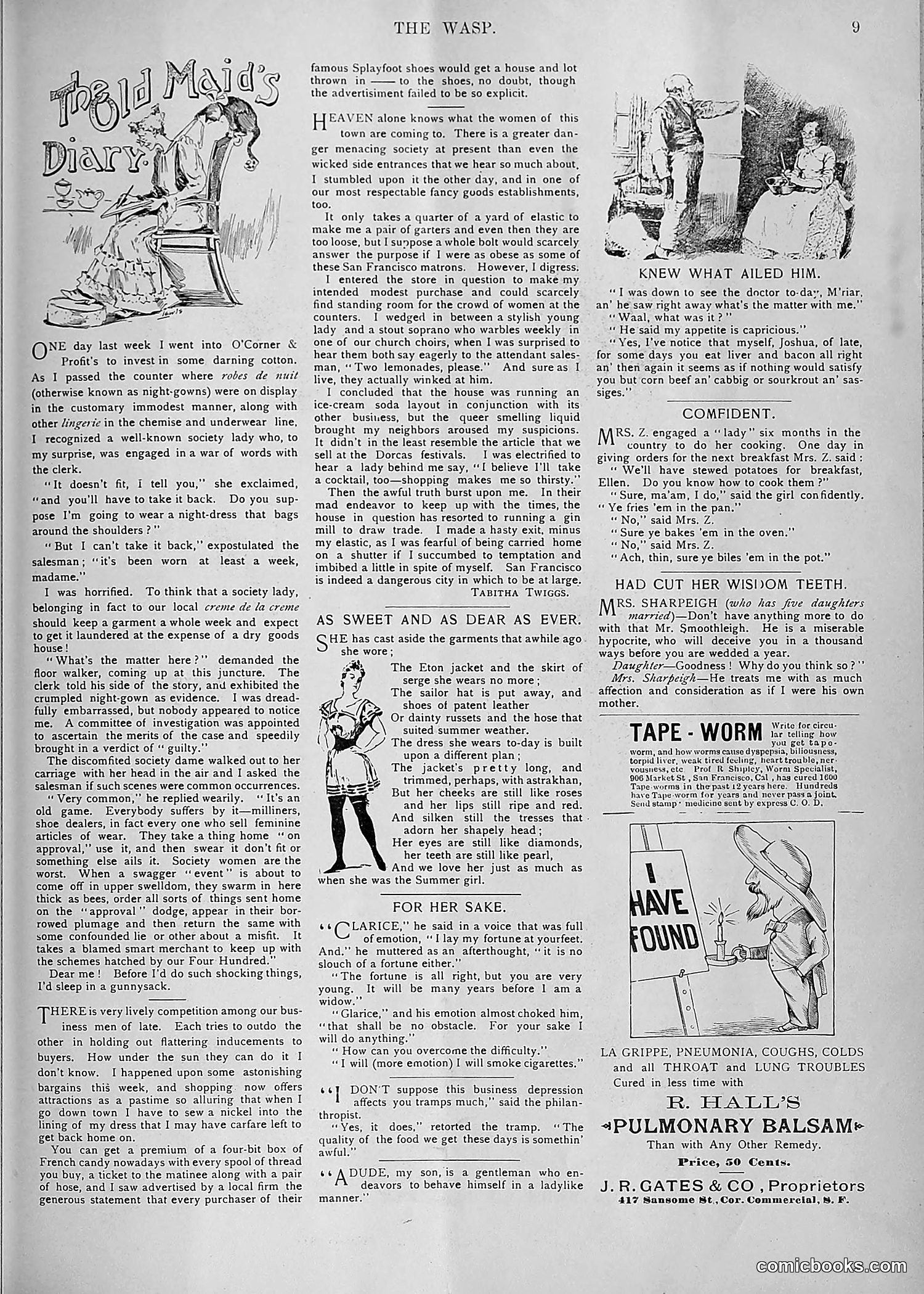 The Wasp — 1893 — page 430 of 578