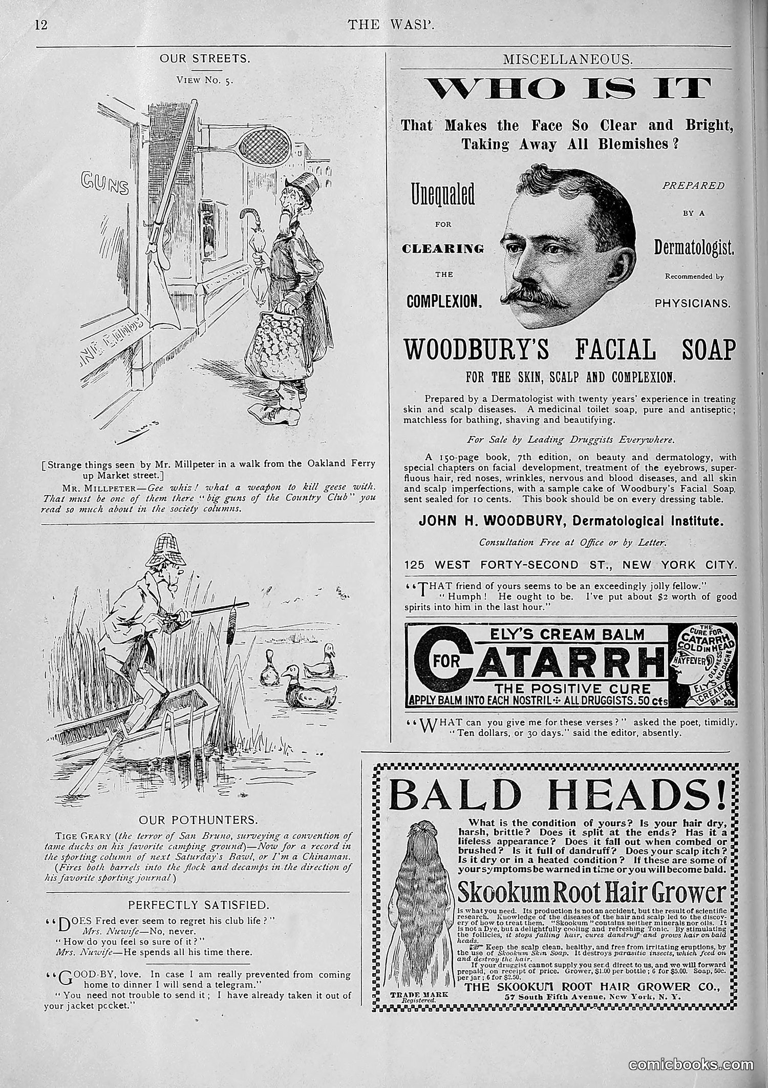 The Wasp — 1893 — page 433 of 578