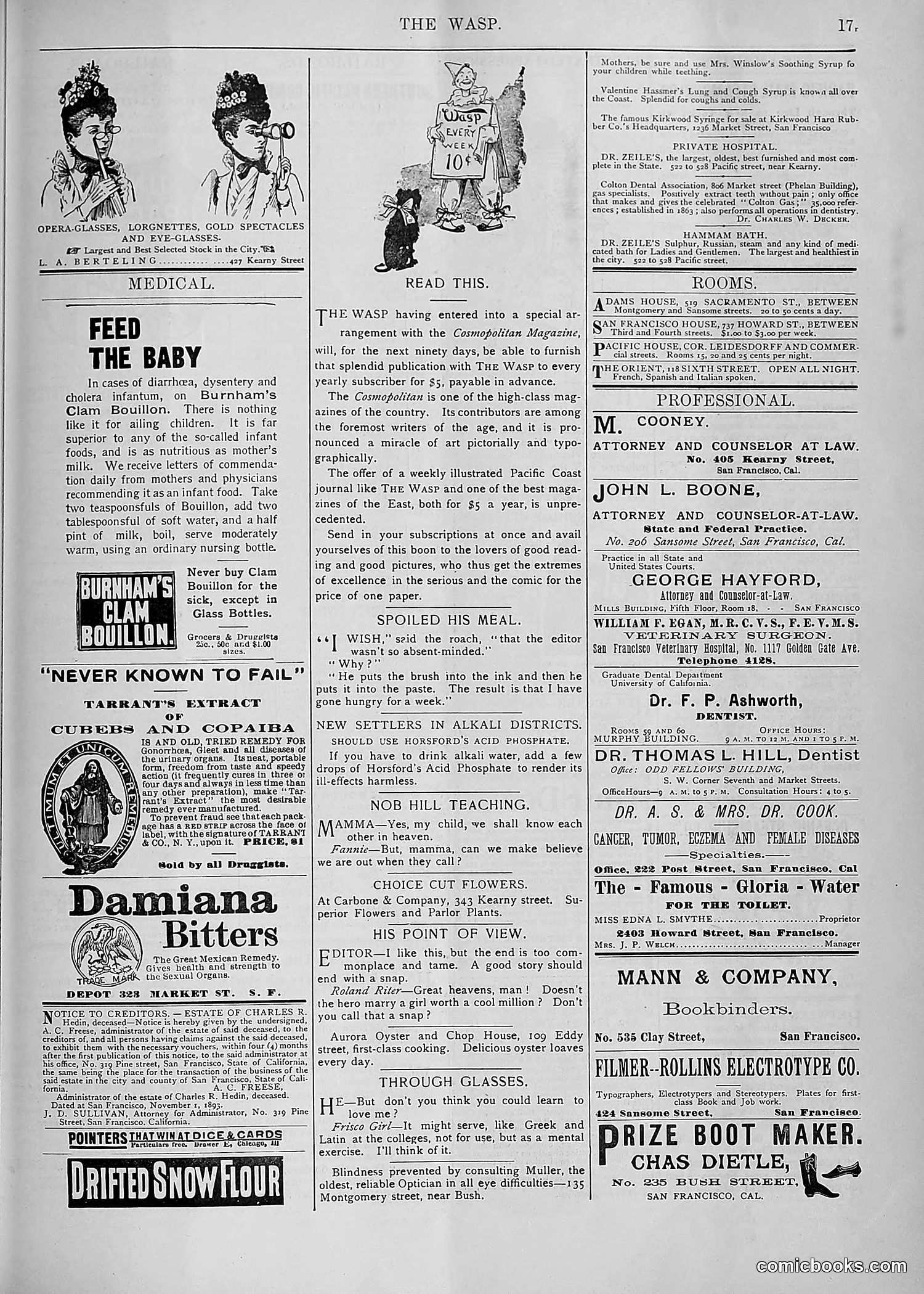 The Wasp — 1893 — page 438 of 578