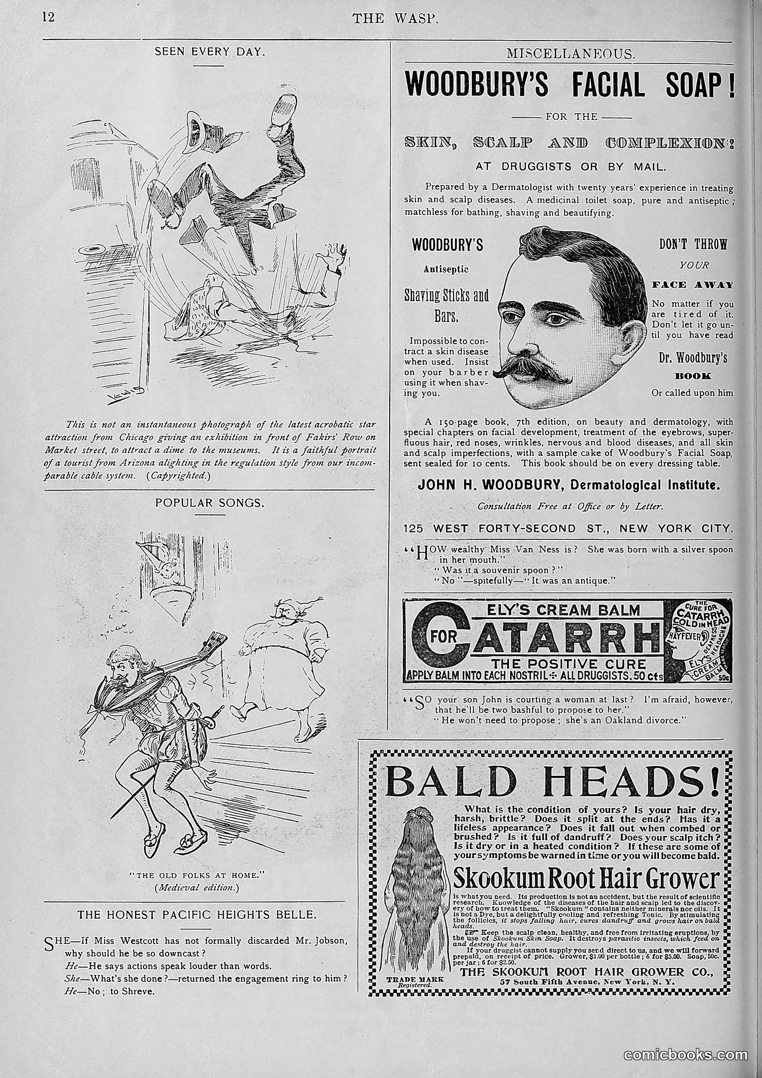 The Wasp — 1893 — page 443 of 578