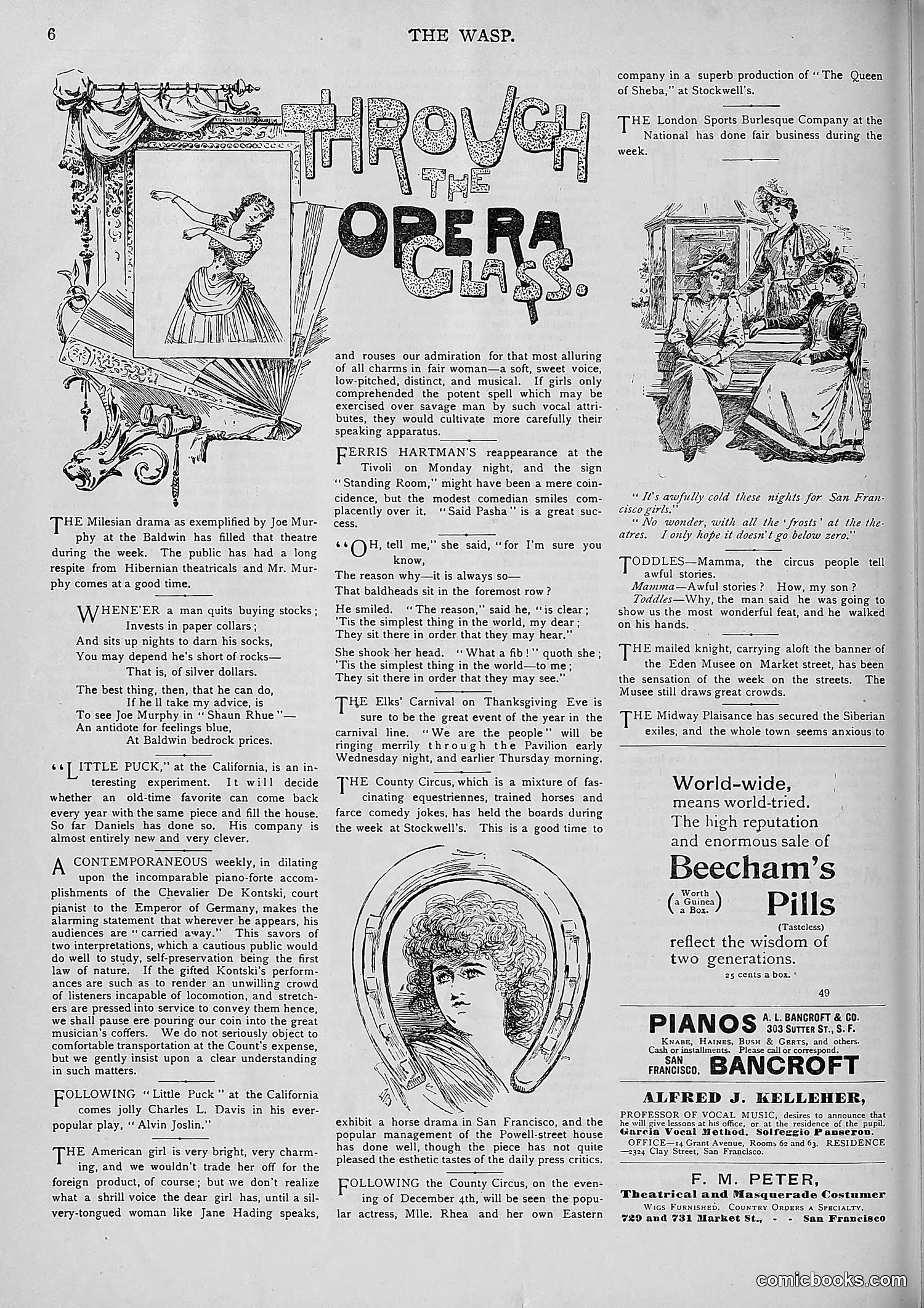 The Wasp — 1893 — page 447 of 578