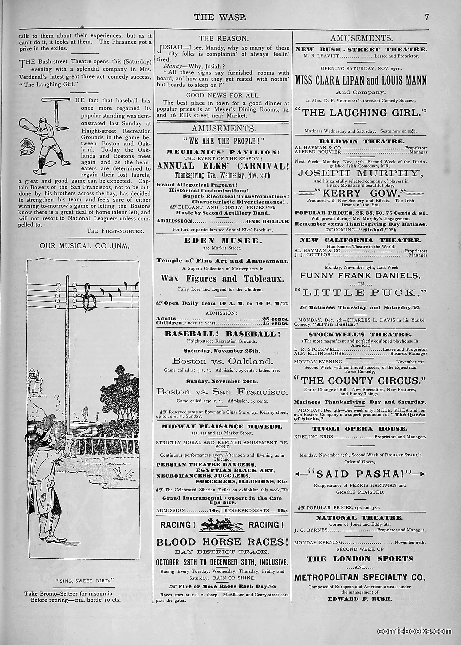 The Wasp — 1893 — page 448 of 578