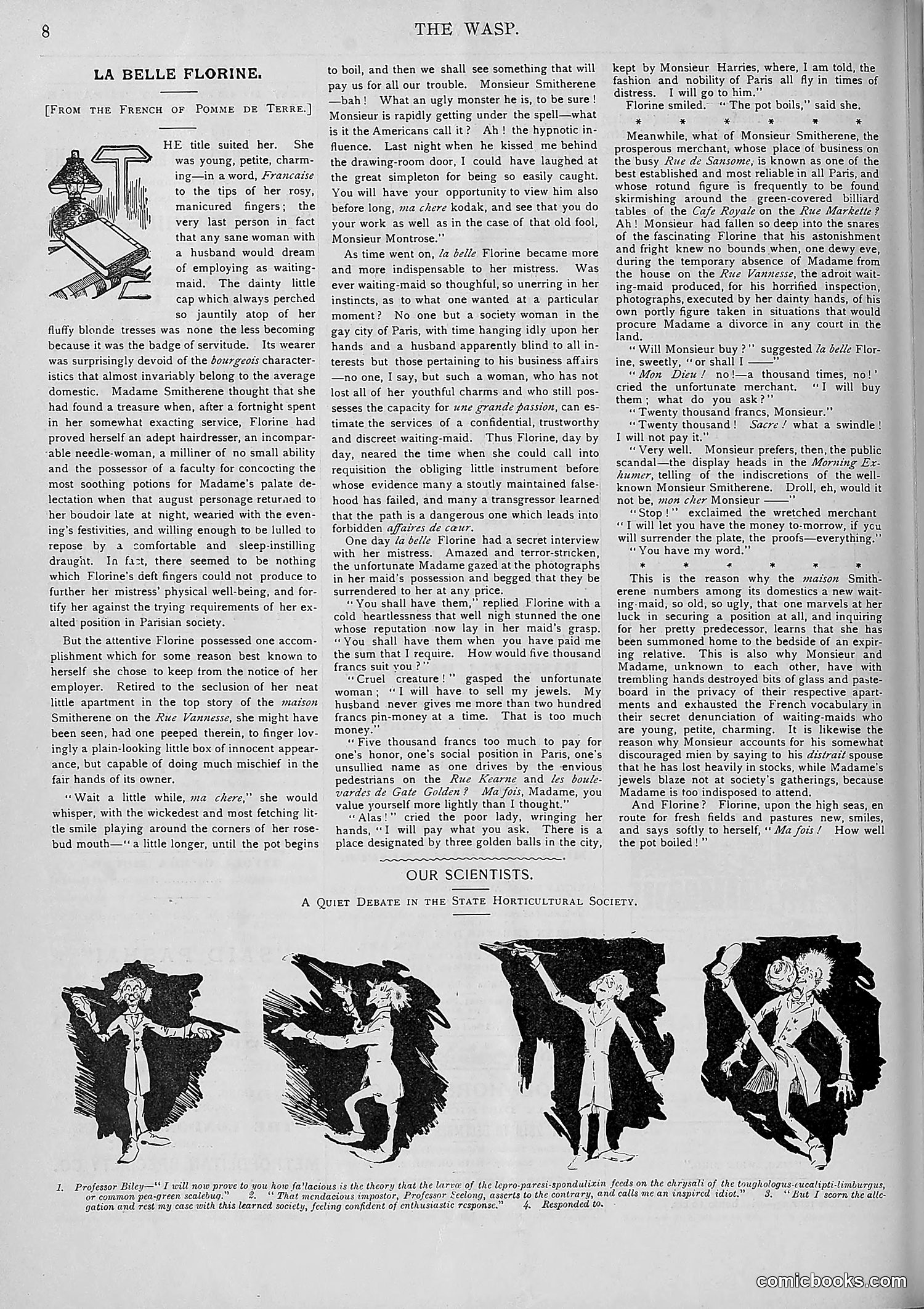 The Wasp — 1893 — page 449 of 578