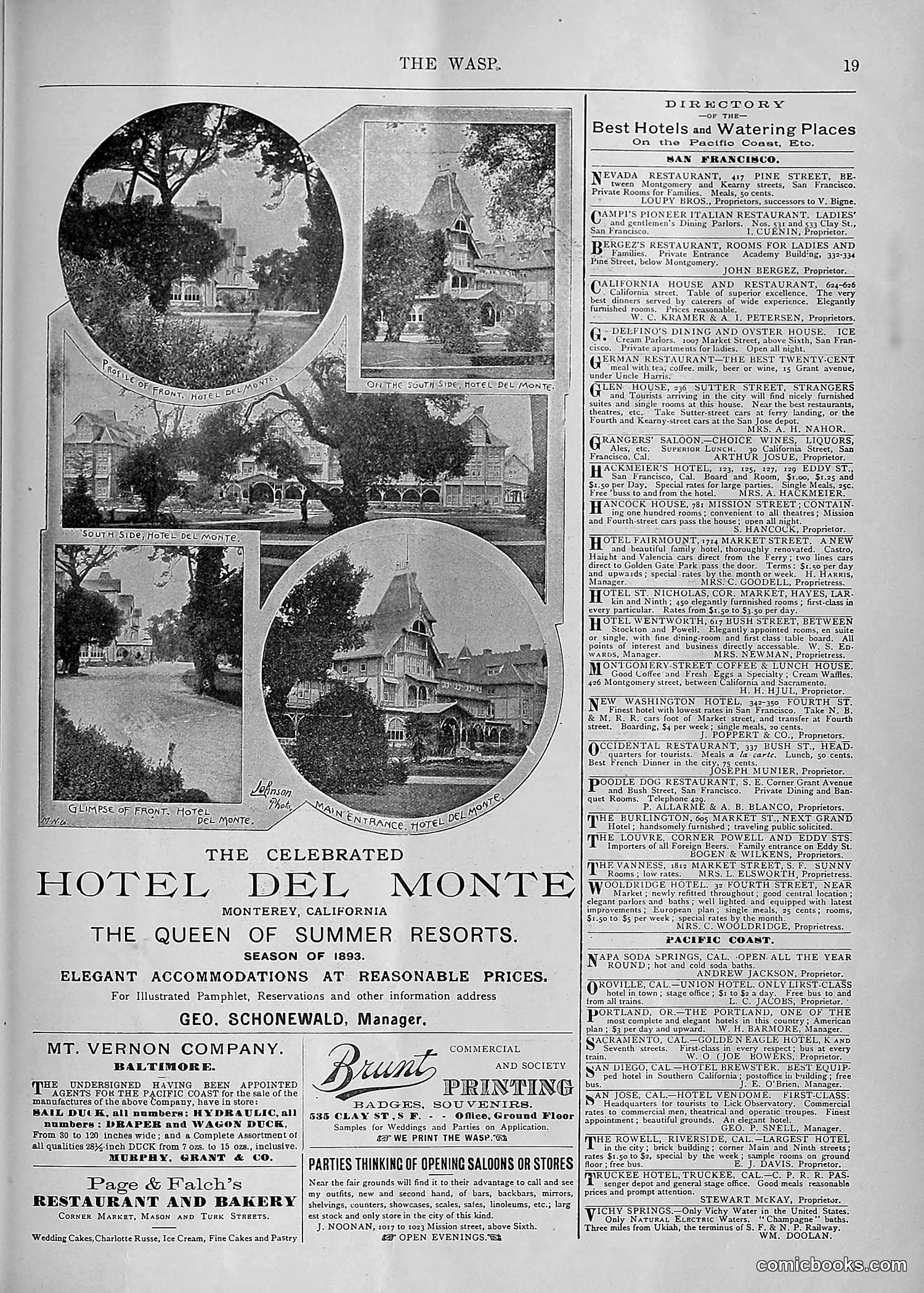 The Wasp — 1893 — page 450 of 578