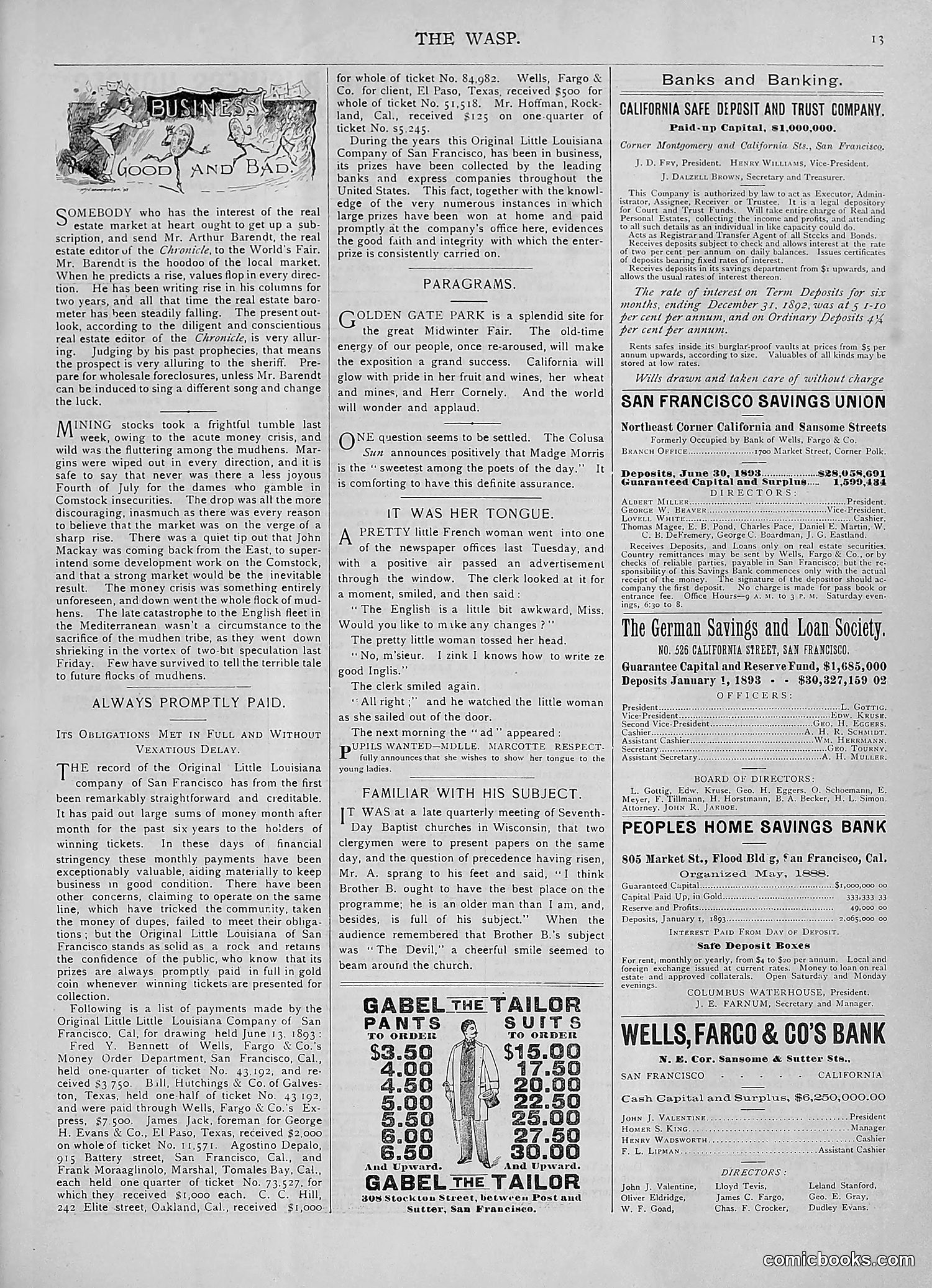 The Wasp — 1893 — page 46 of 578
