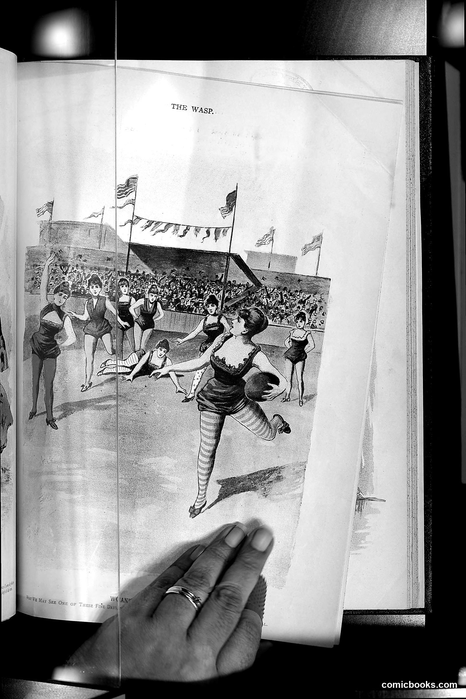 The Wasp — 1893 — page 454 of 578