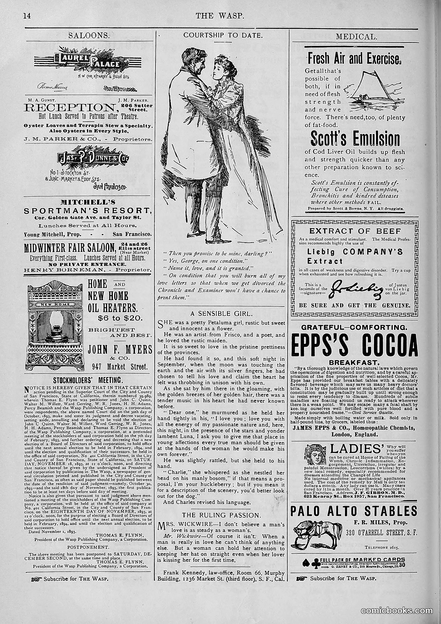 The Wasp — 1893 — page 457 of 578