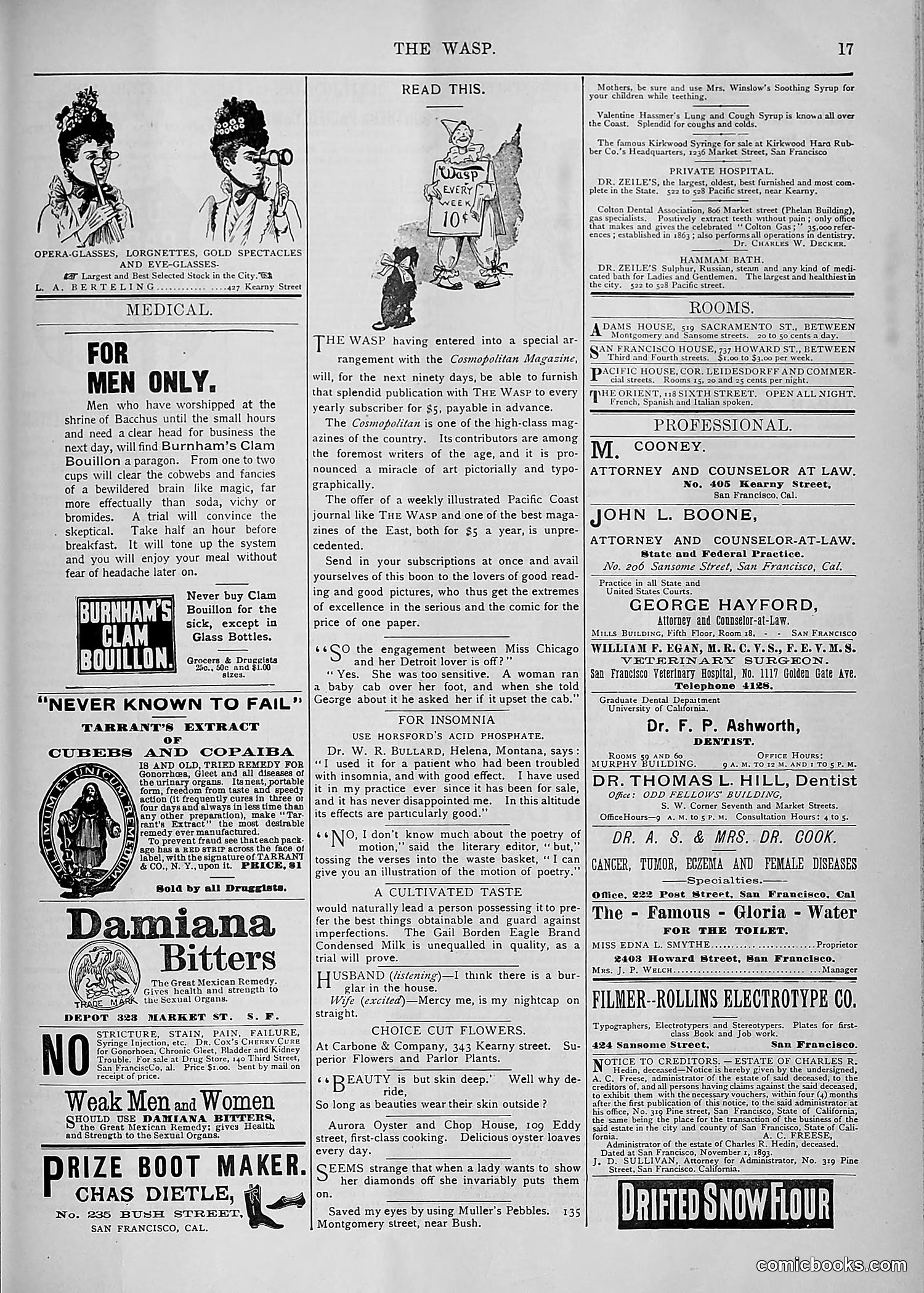 The Wasp — 1893 — page 460 of 578