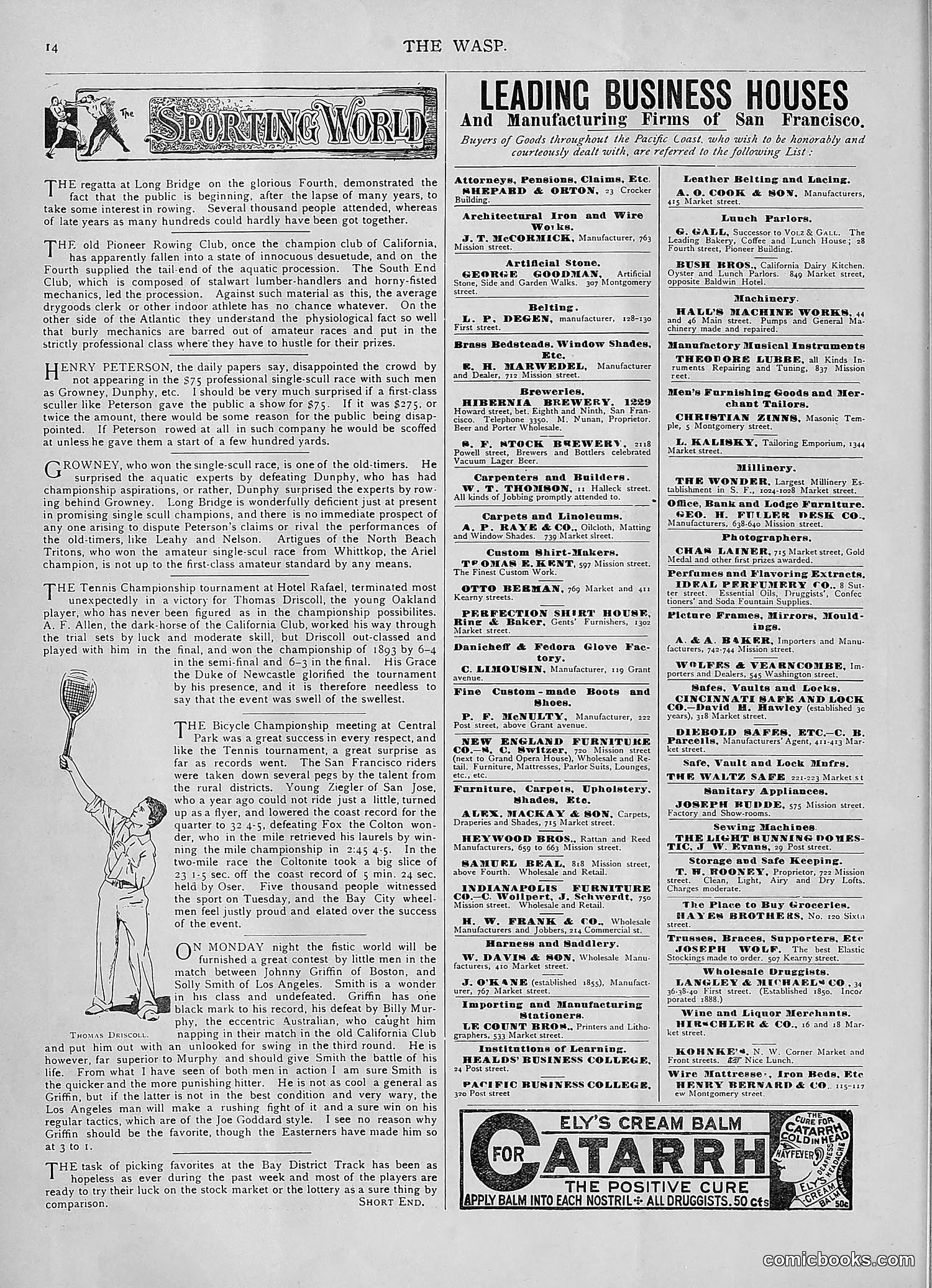 The Wasp — 1893 — page 47 of 578