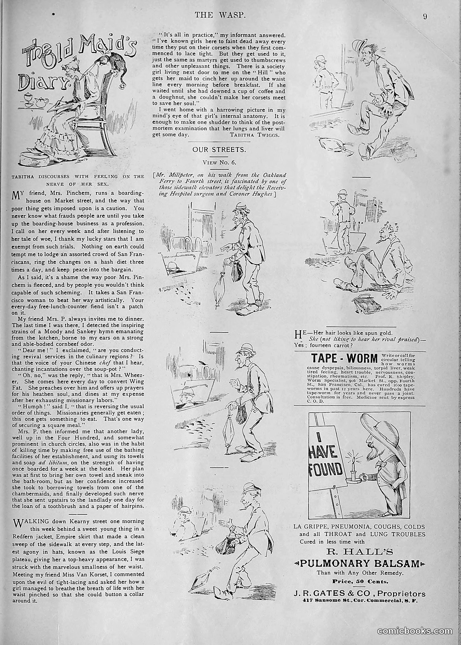 The Wasp — 1893 — page 462 of 578