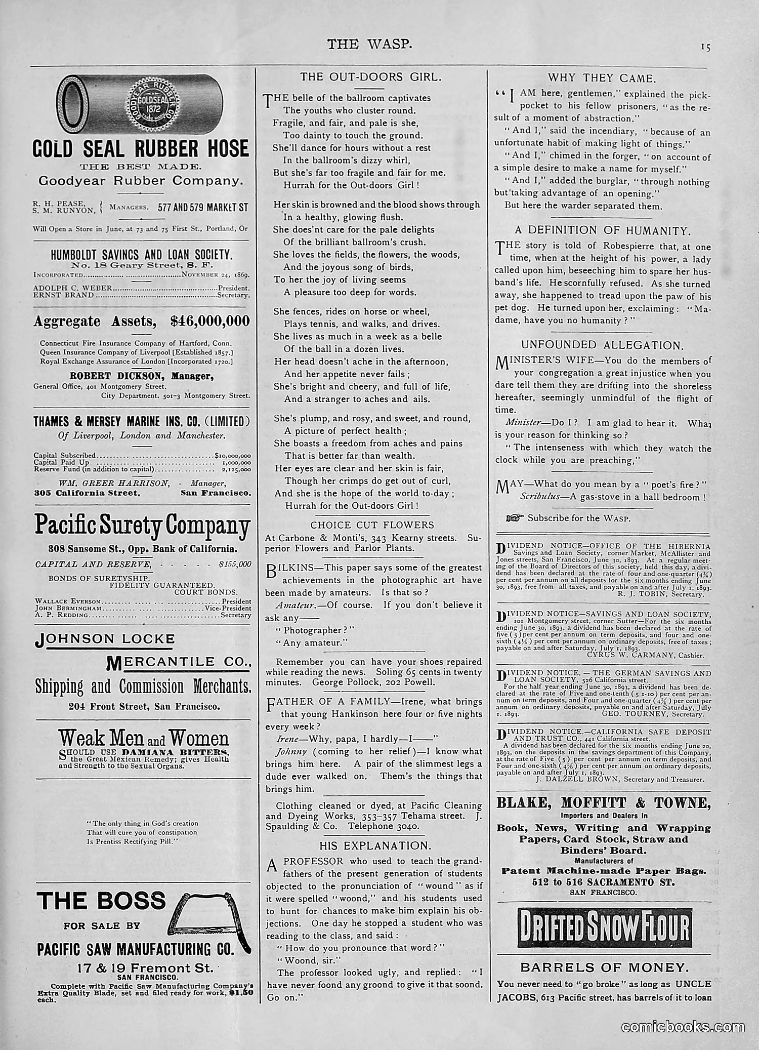 The Wasp — 1893 — page 48 of 578