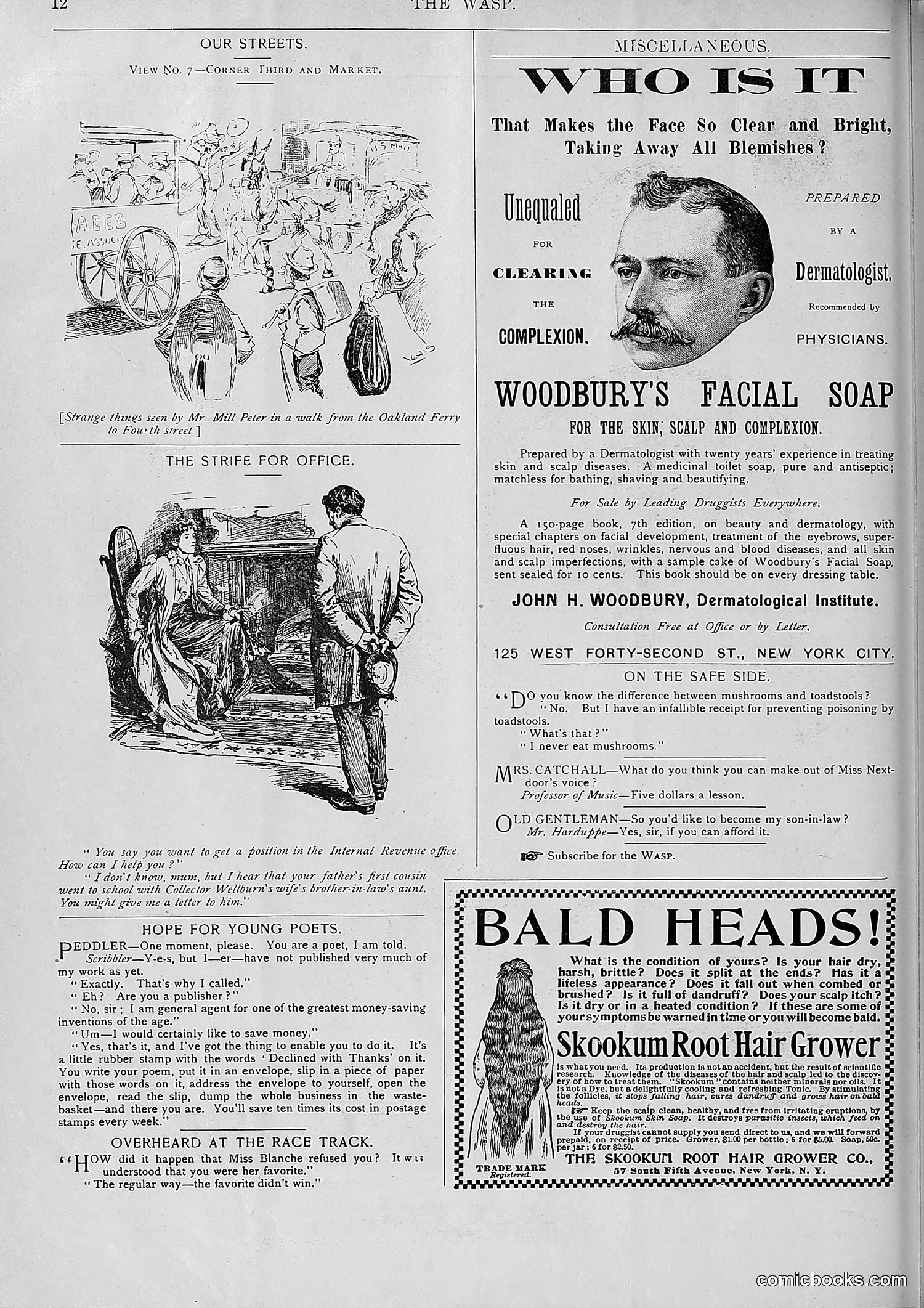 The Wasp — 1893 — page 475 of 578