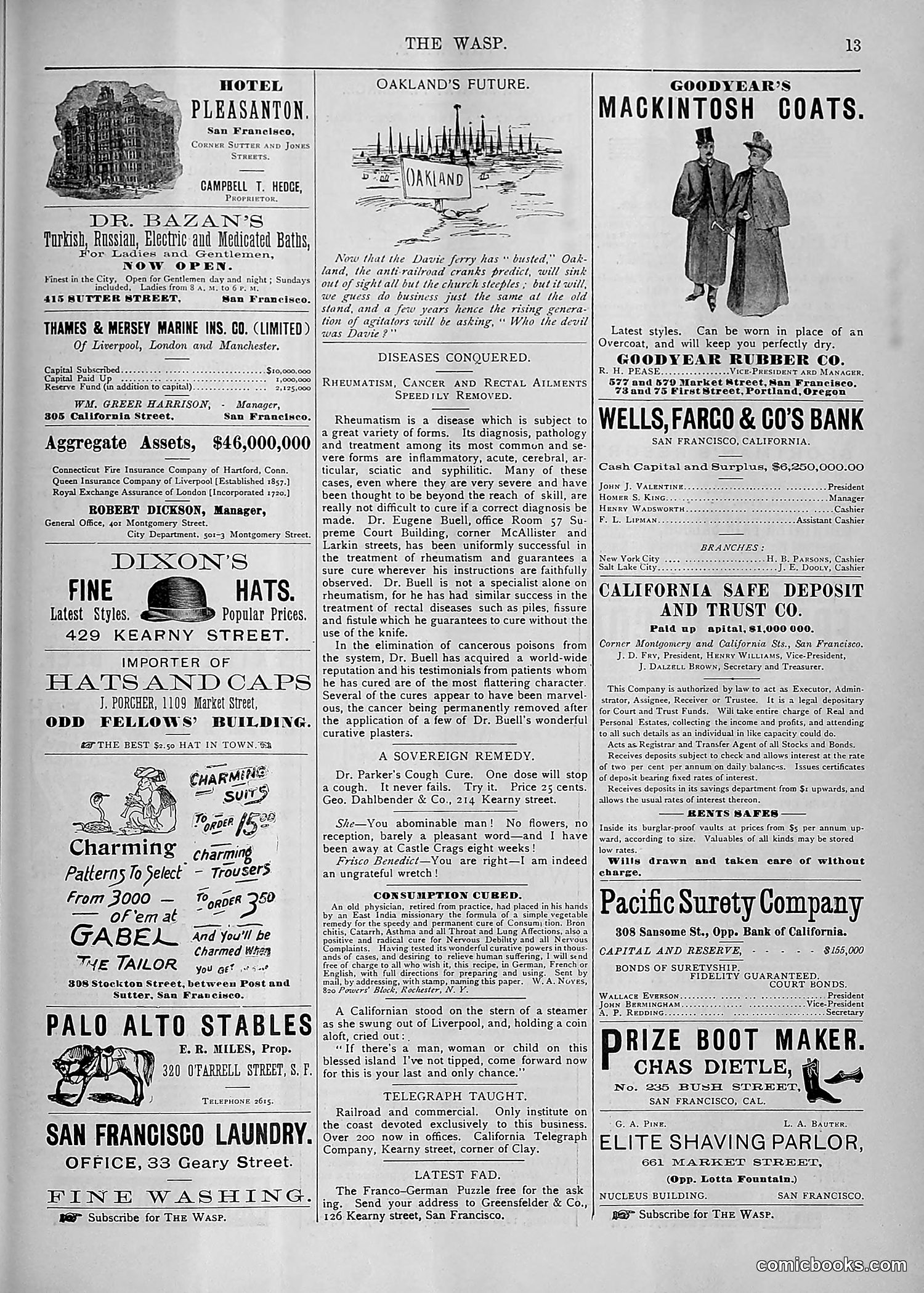 The Wasp — 1893 — page 476 of 578