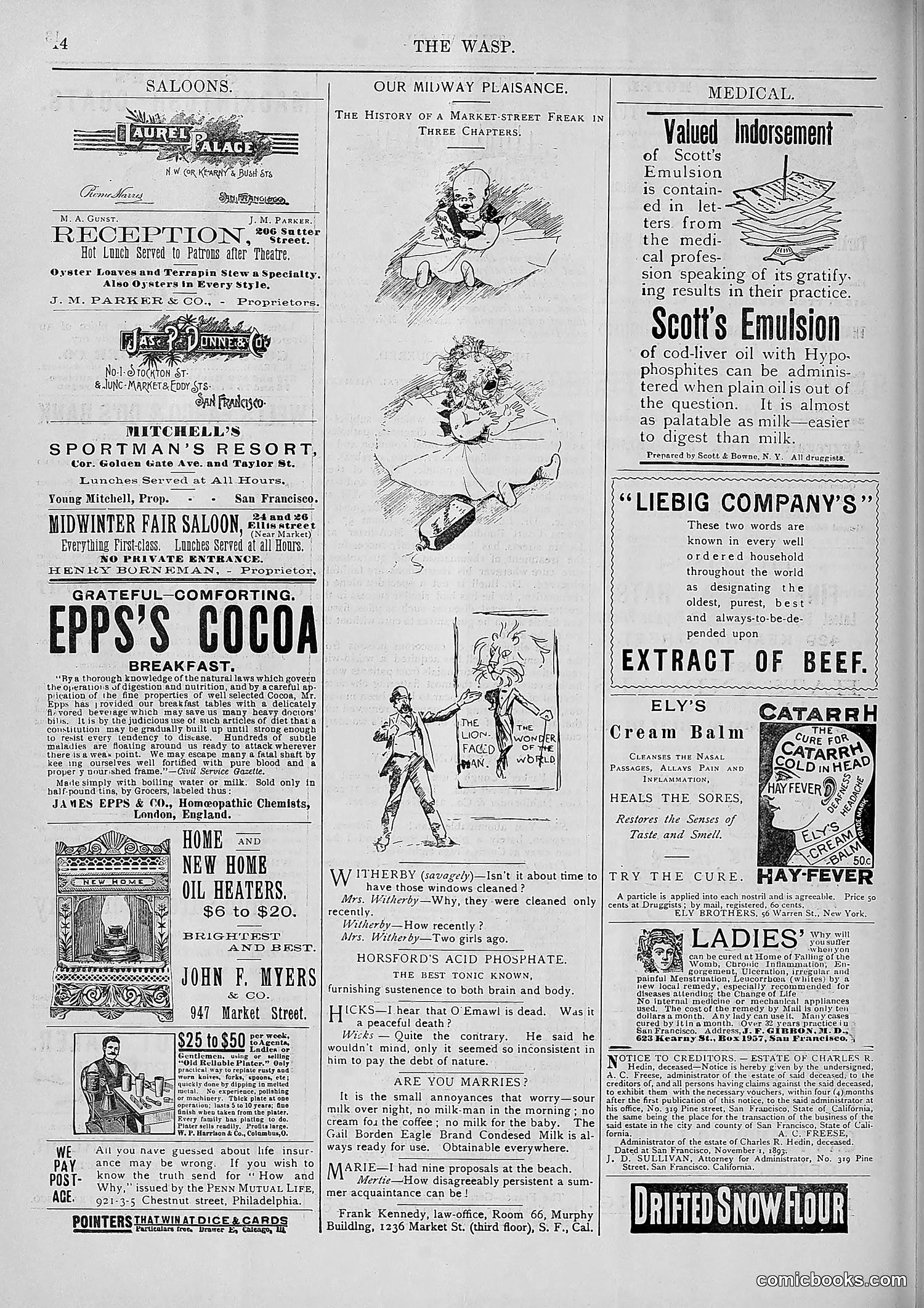 The Wasp — 1893 — page 477 of 578