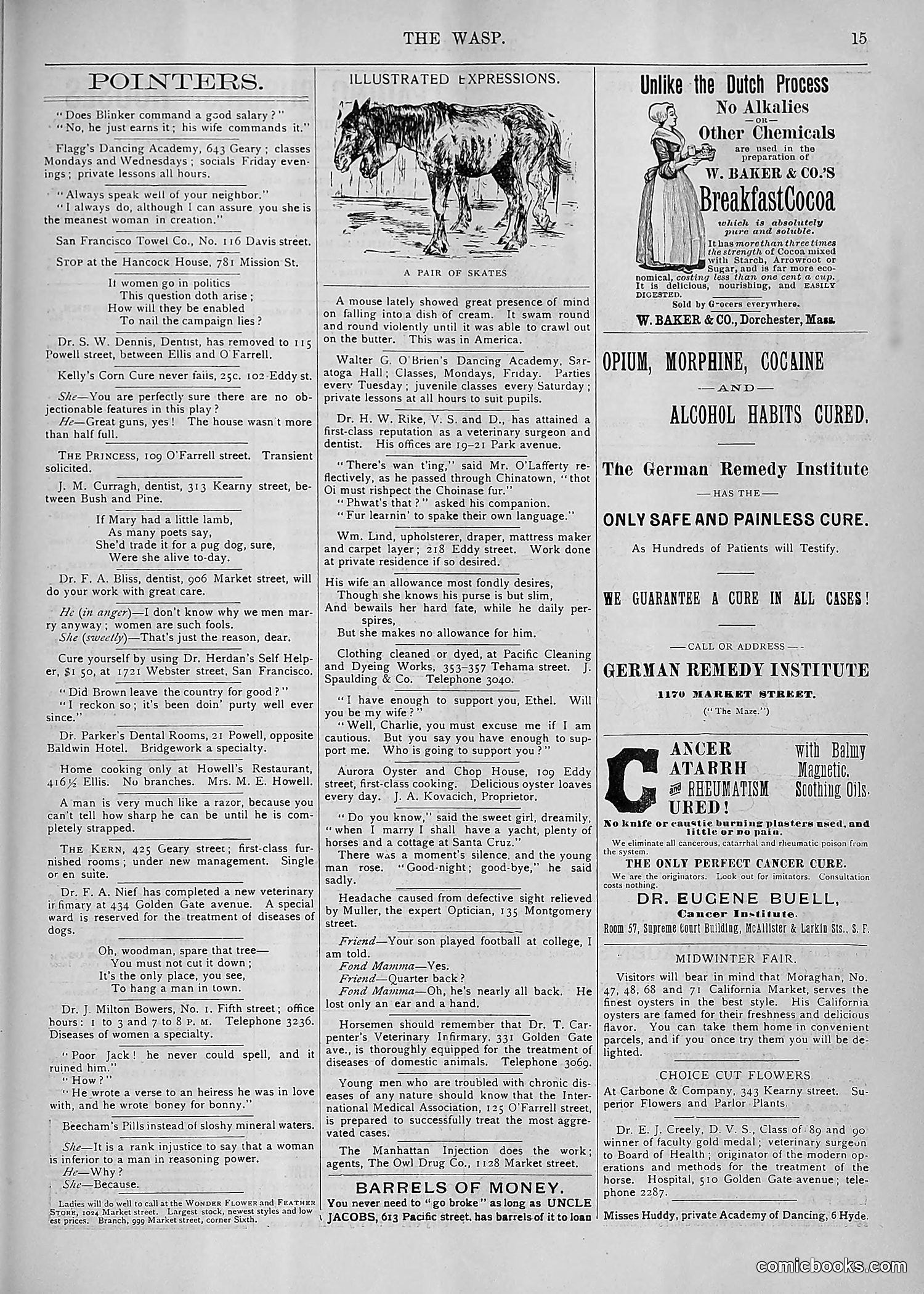 The Wasp — 1893 — page 478 of 578