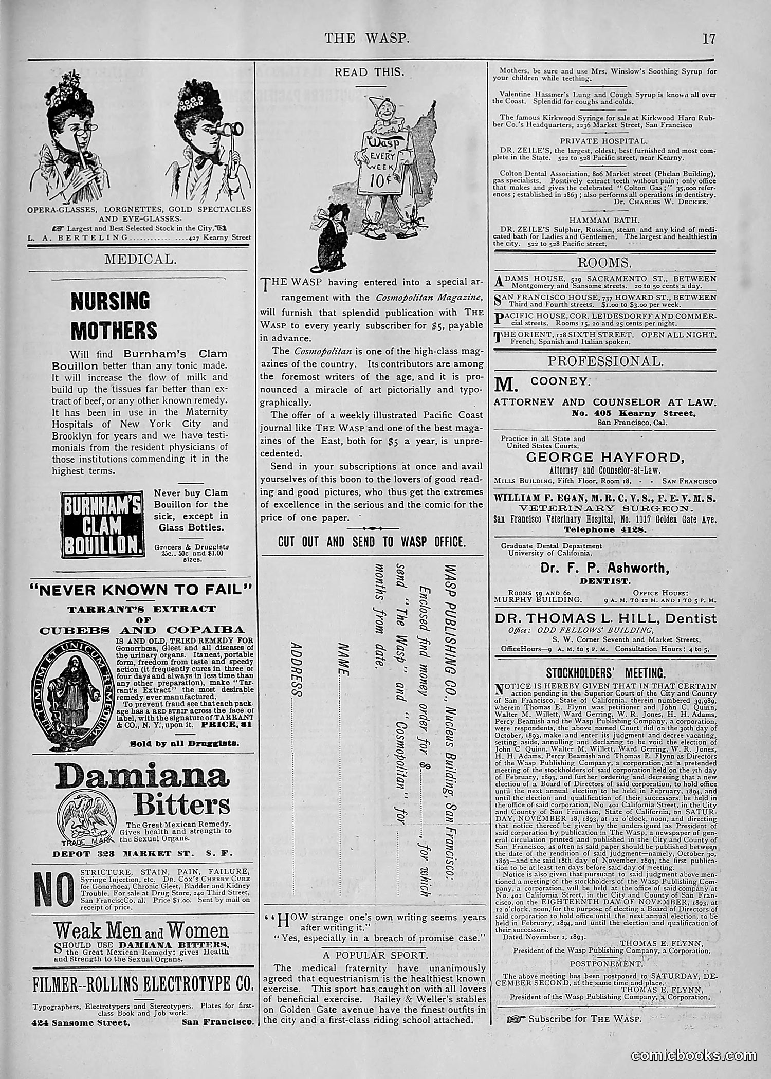 The Wasp — 1893 — page 480 of 578