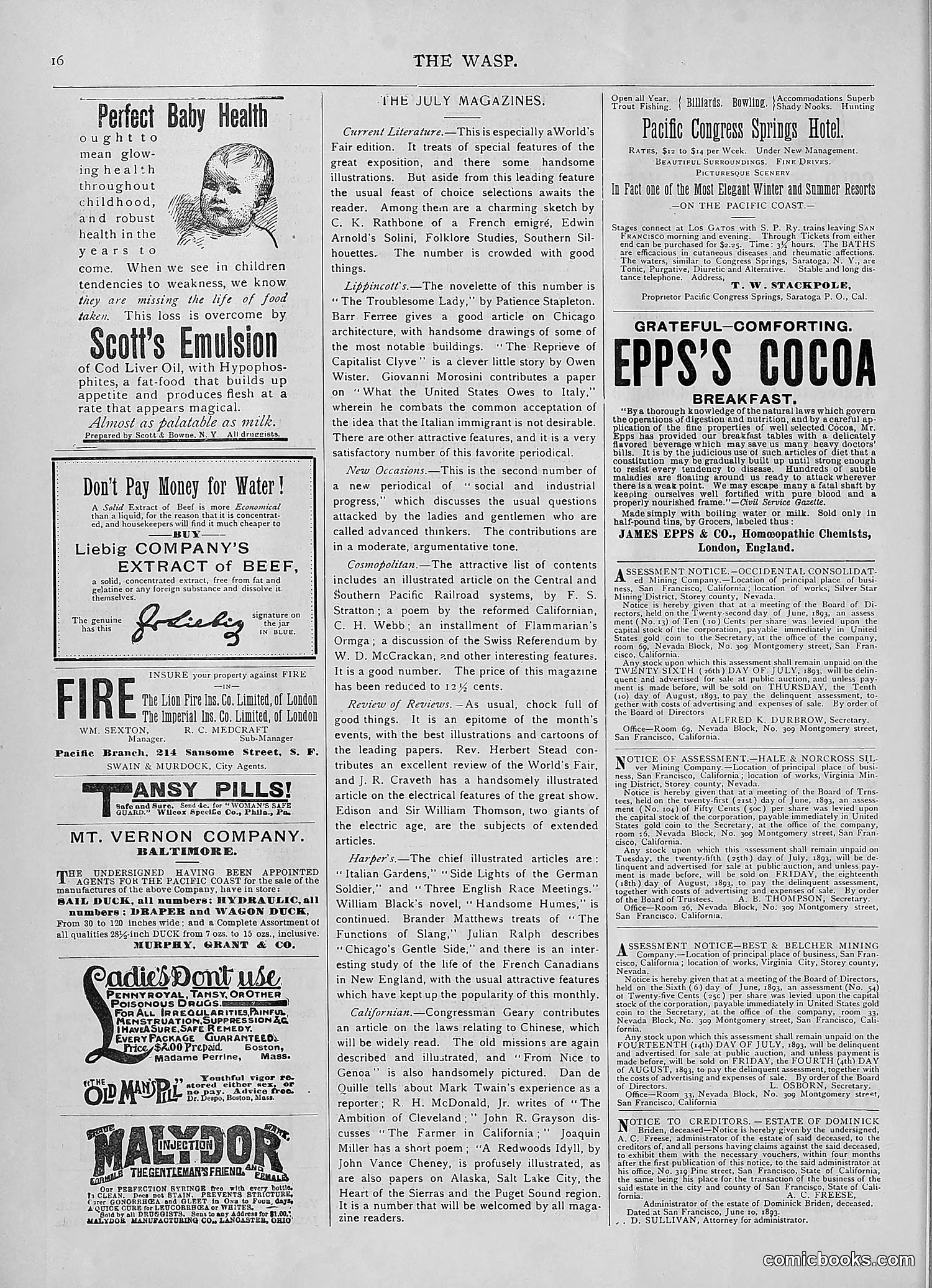 The Wasp — 1893 — page 49 of 578