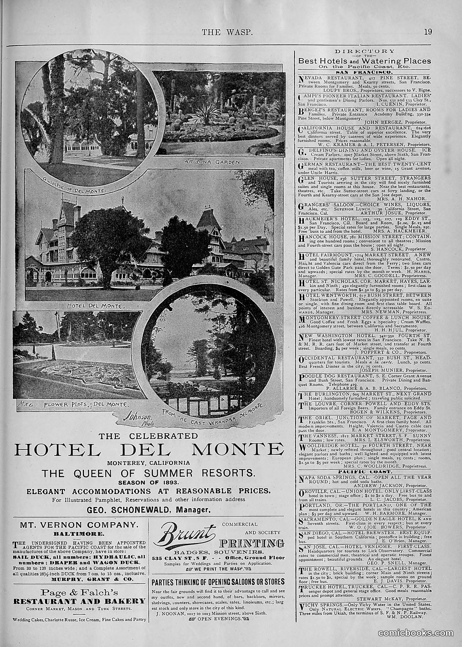 The Wasp — 1893 — page 482 of 578