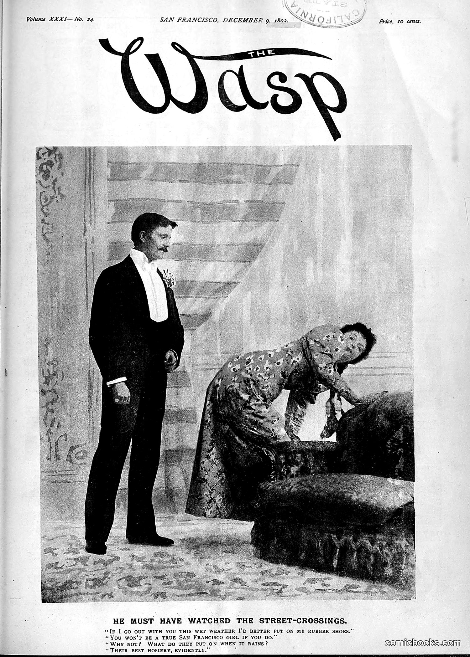 The Wasp — 1893 — page 484 of 578