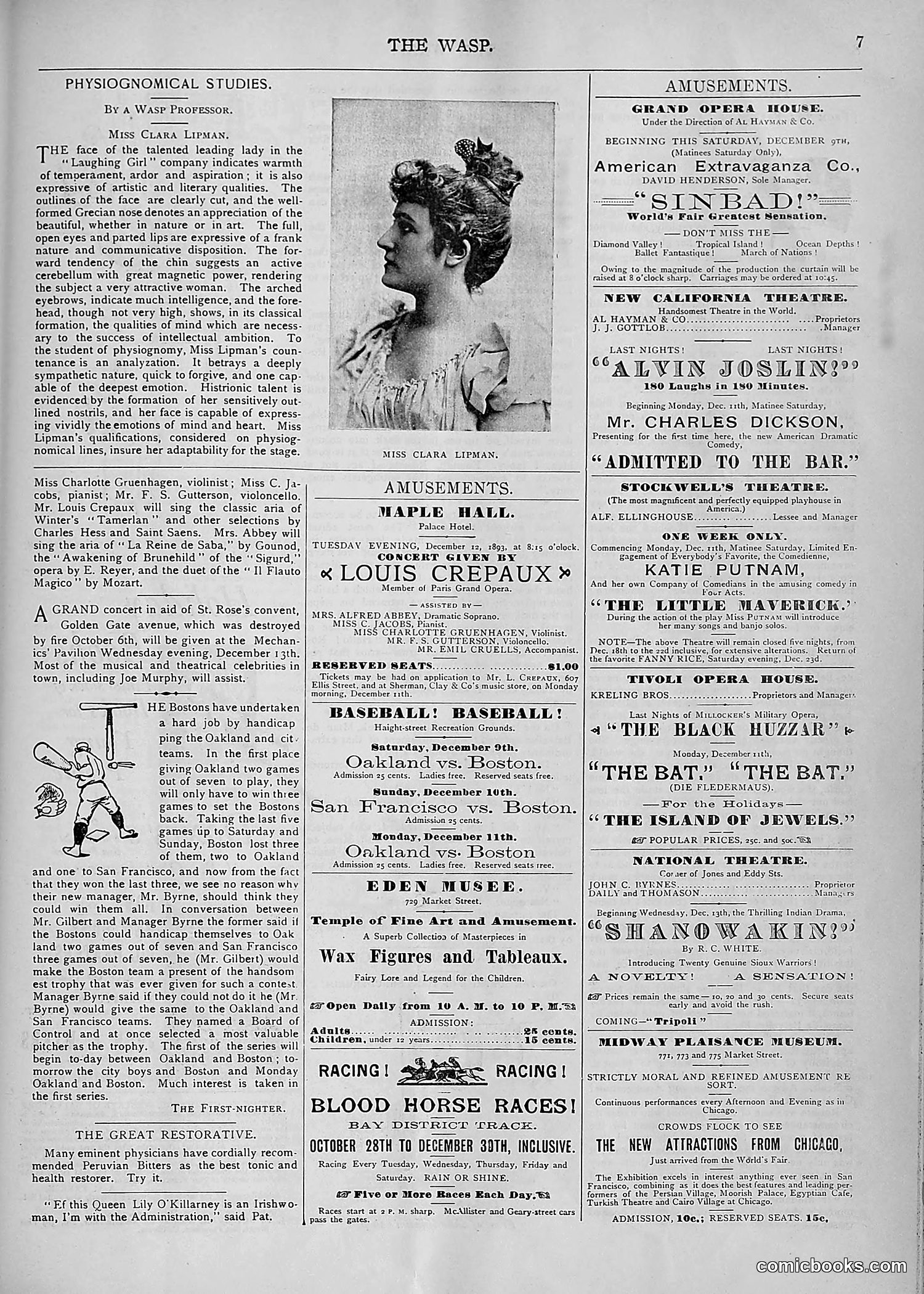 The Wasp — 1893 — page 490 of 578
