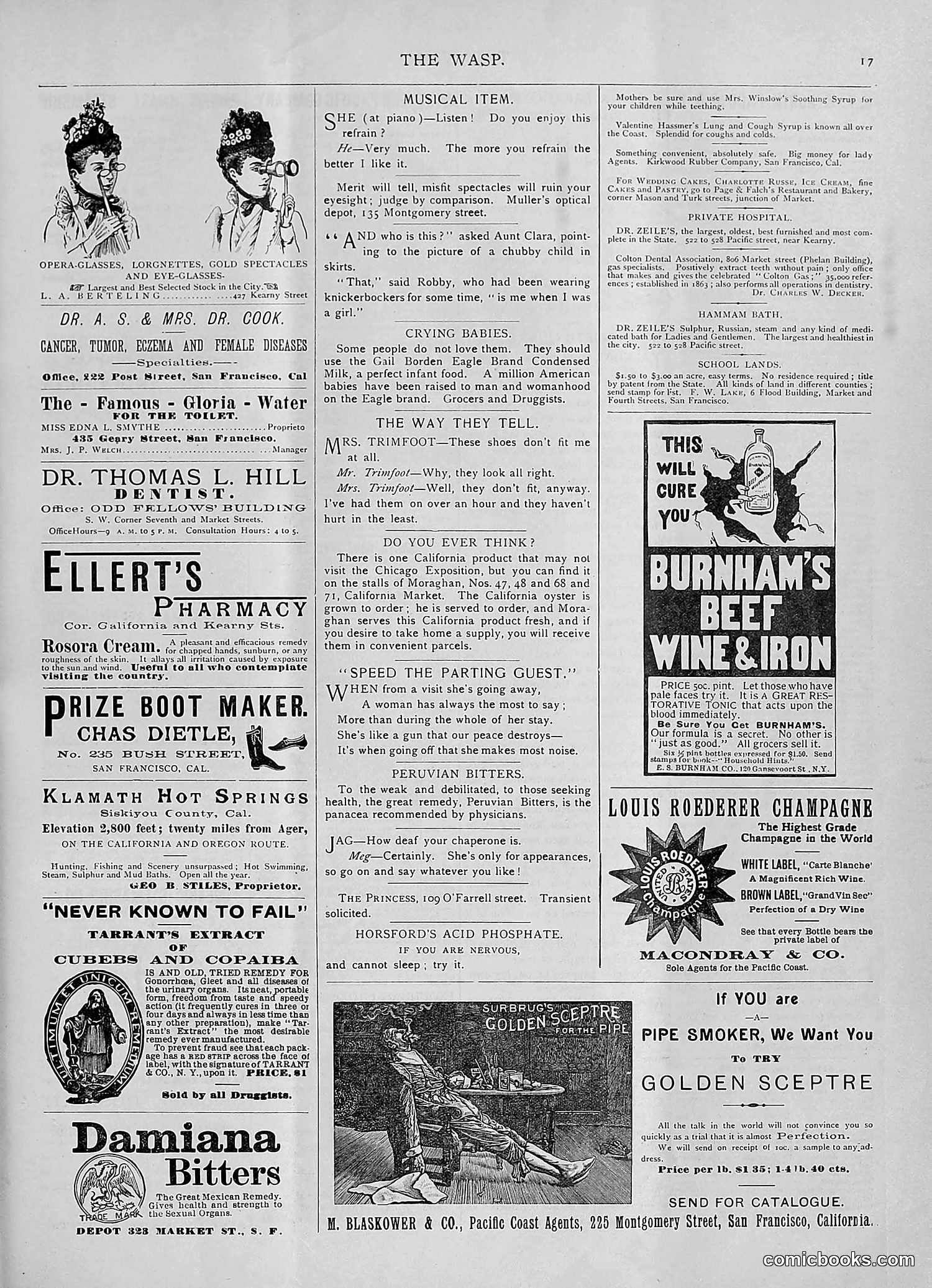 The Wasp — 1893 — page 50 of 578