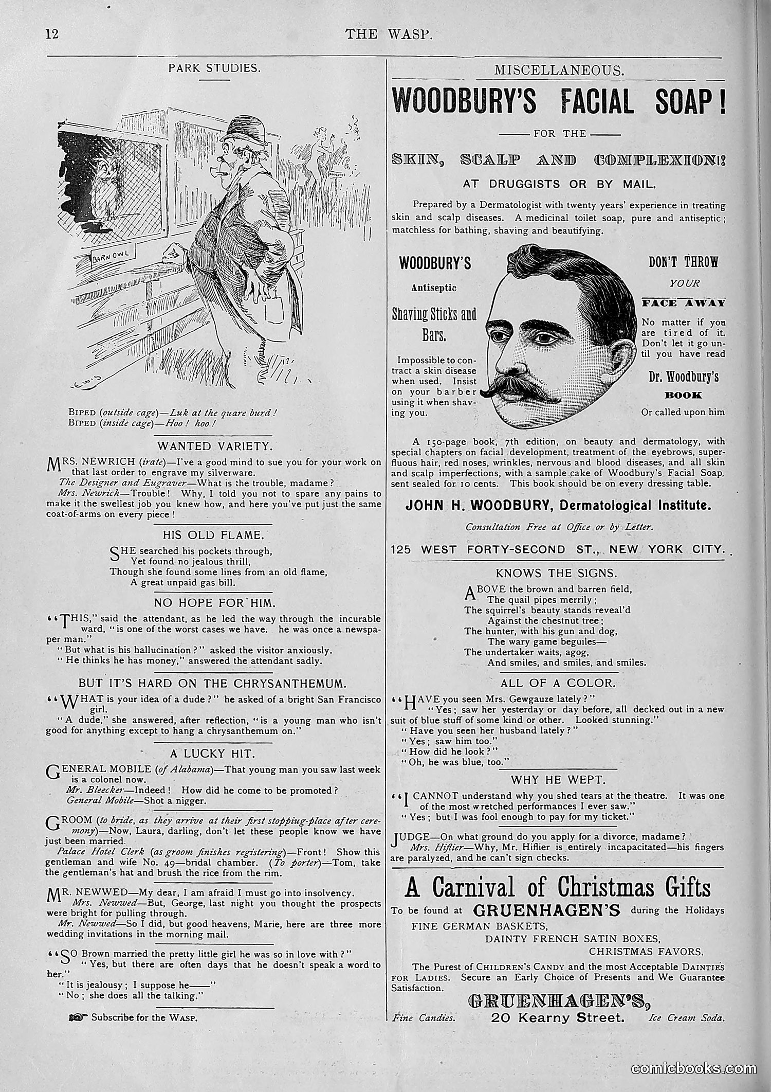 The Wasp — 1893 — page 495 of 578