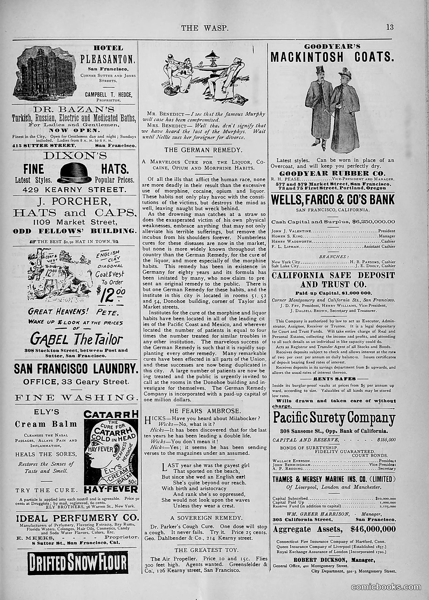 The Wasp — 1893 — page 496 of 578