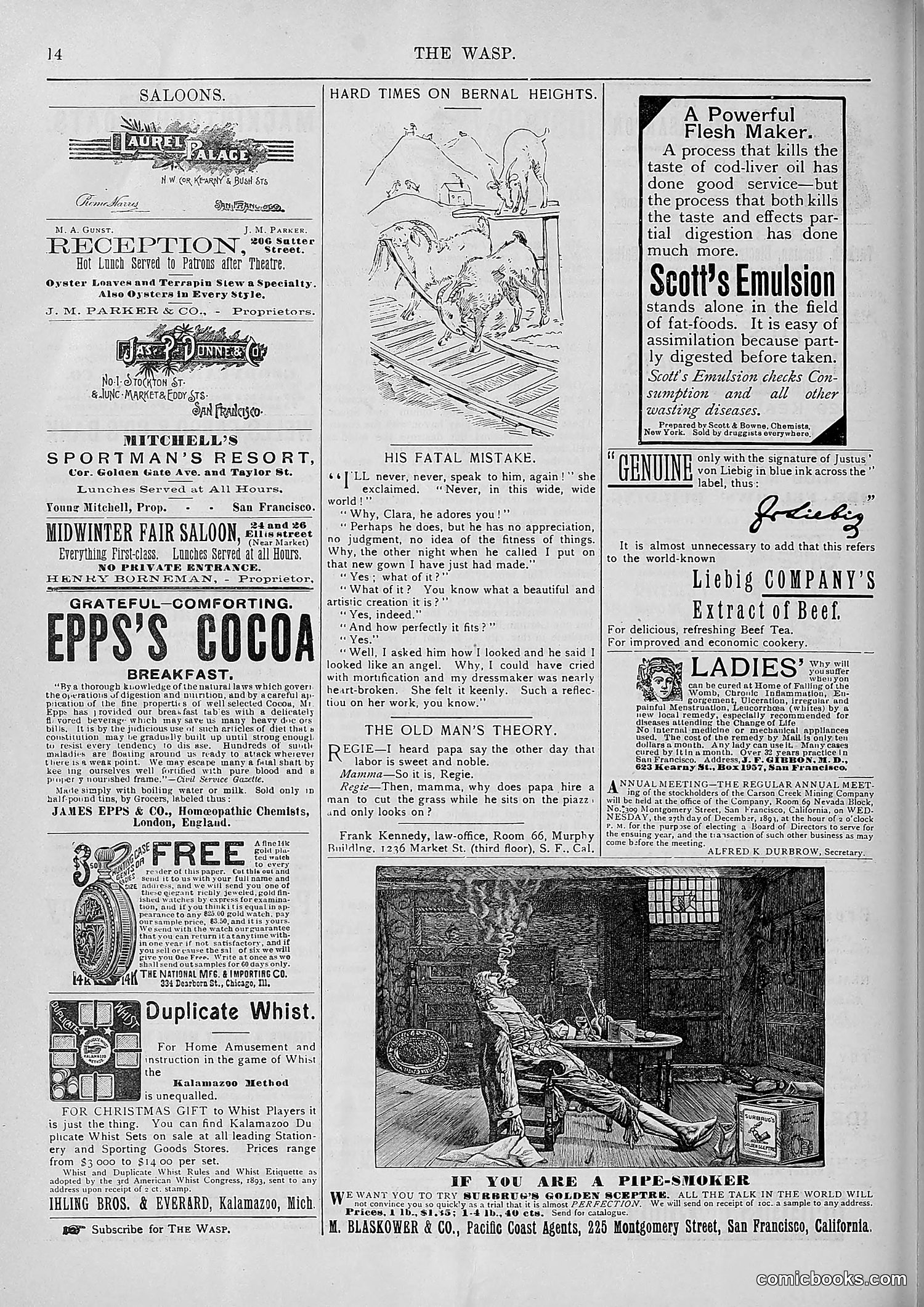 The Wasp — 1893 — page 497 of 578