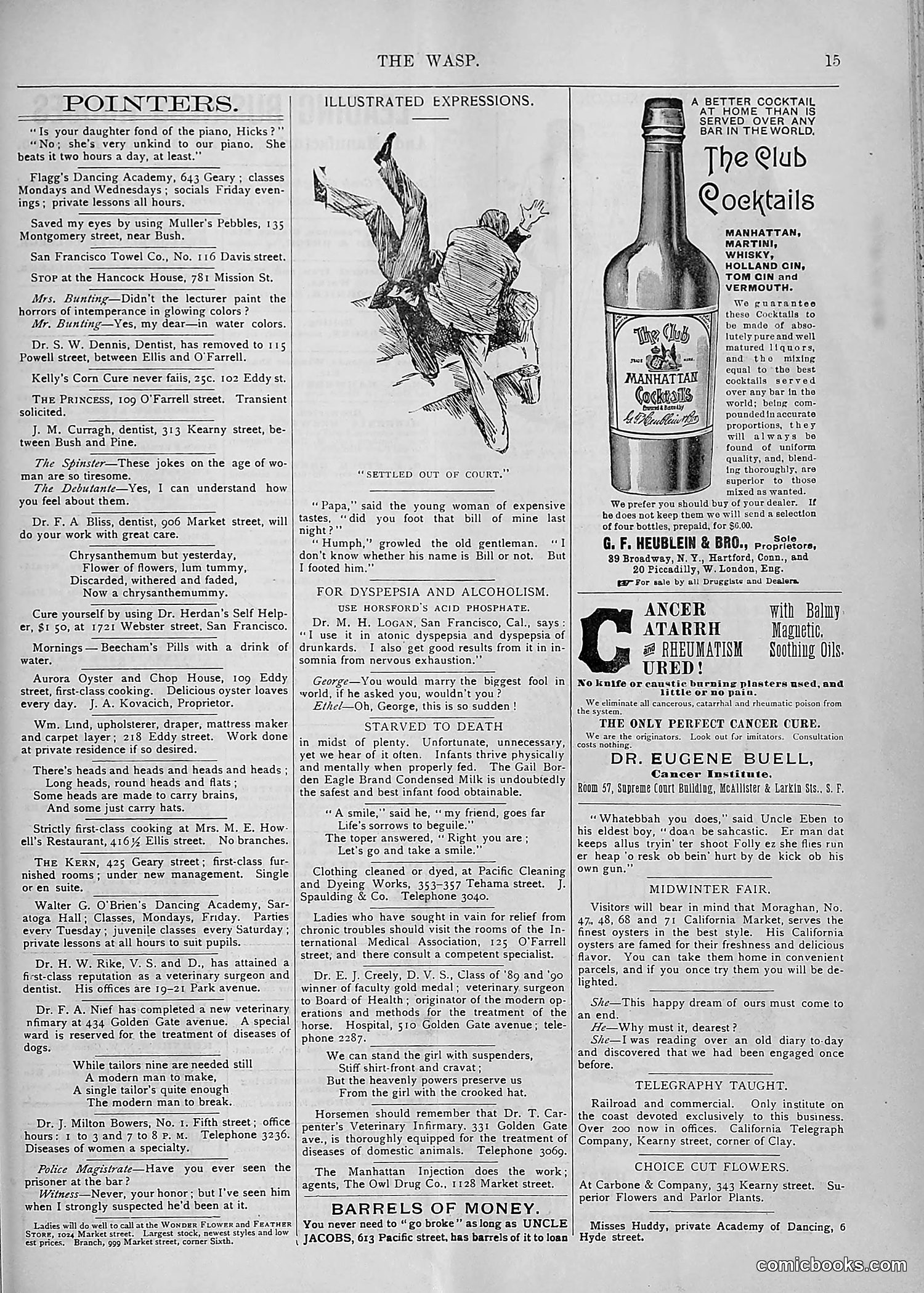 The Wasp — 1893 — page 498 of 578