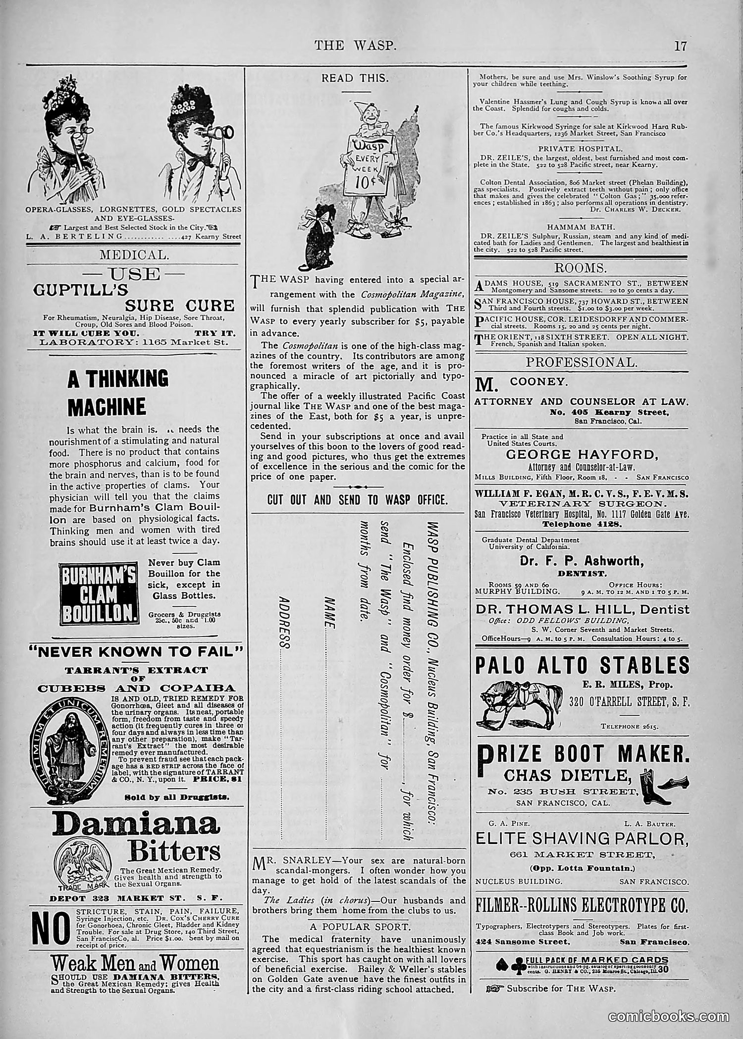 The Wasp — 1893 — page 500 of 578