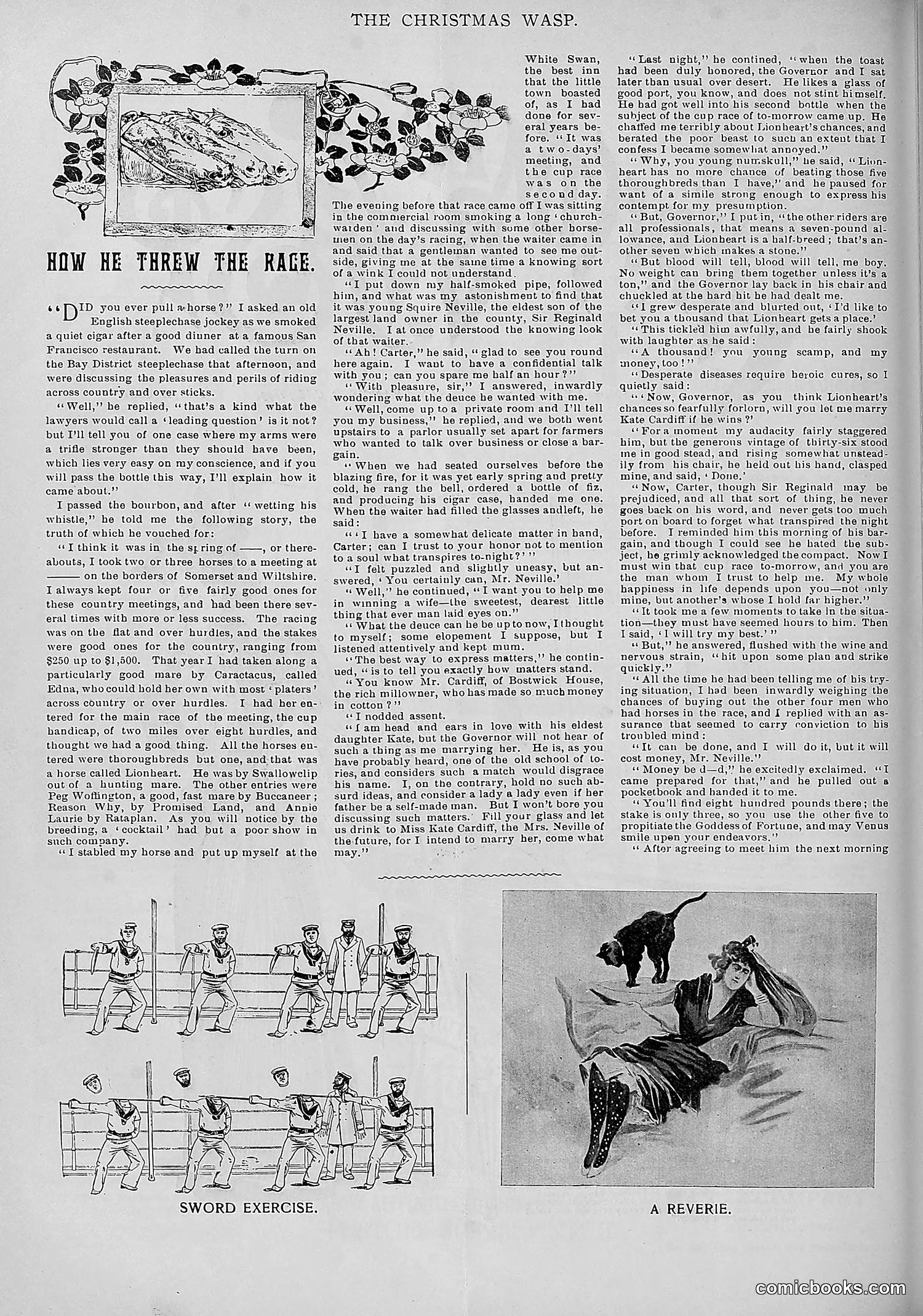 The Wasp — 1893 — page 507 of 578
