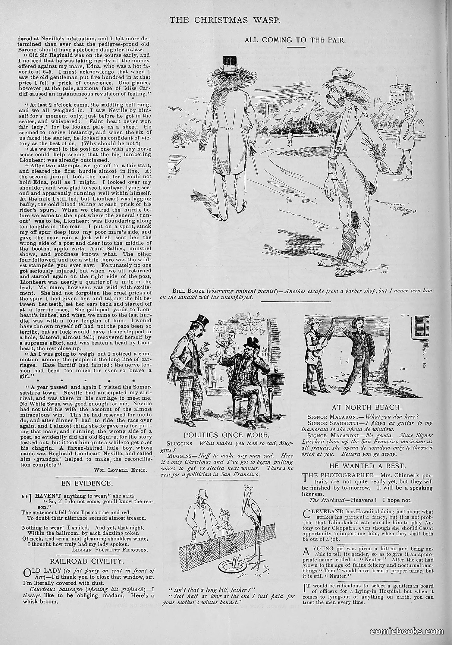 The Wasp — 1893 — page 509 of 578