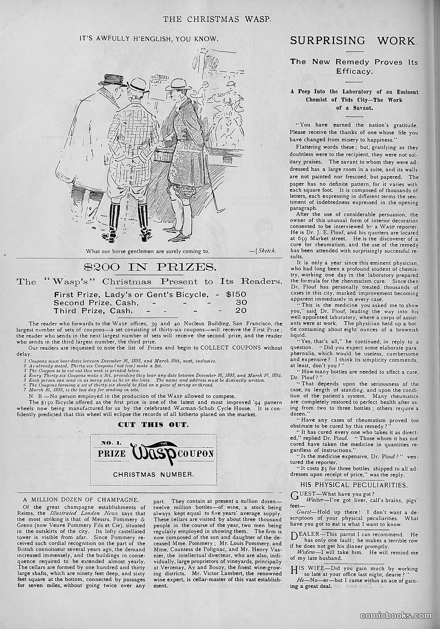 The Wasp — 1893 — page 521 of 578