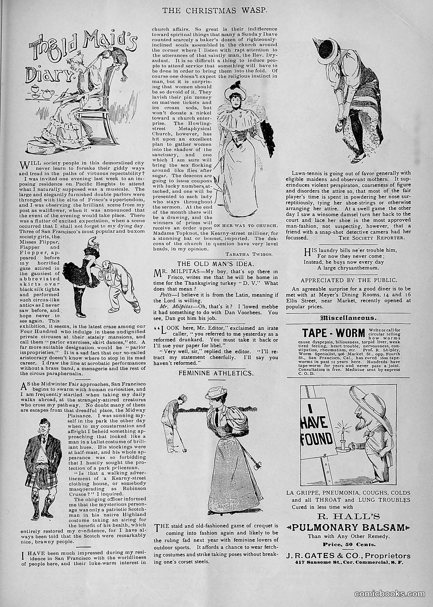 The Wasp — 1893 — page 522 of 578