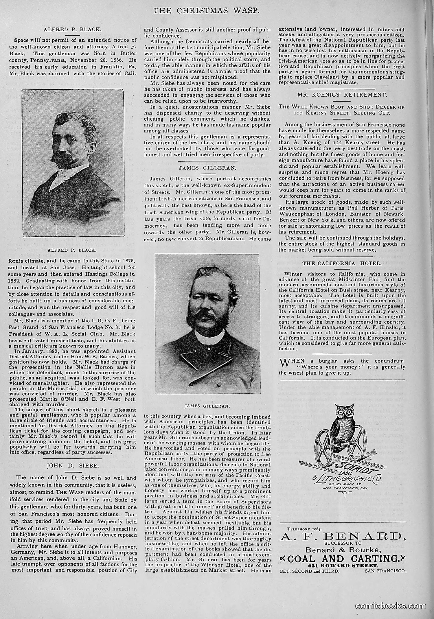 The Wasp — 1893 — page 529 of 578