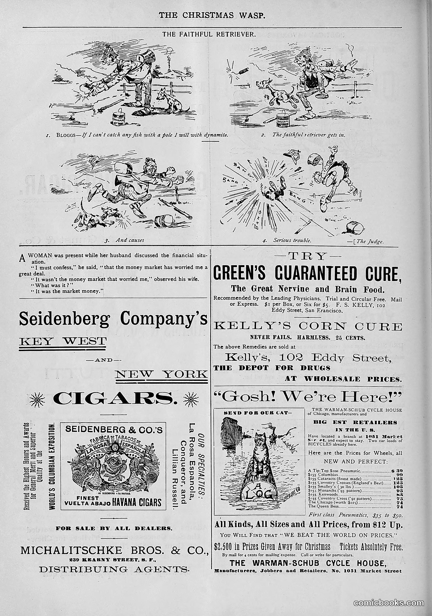 The Wasp — 1893 — page 533 of 578