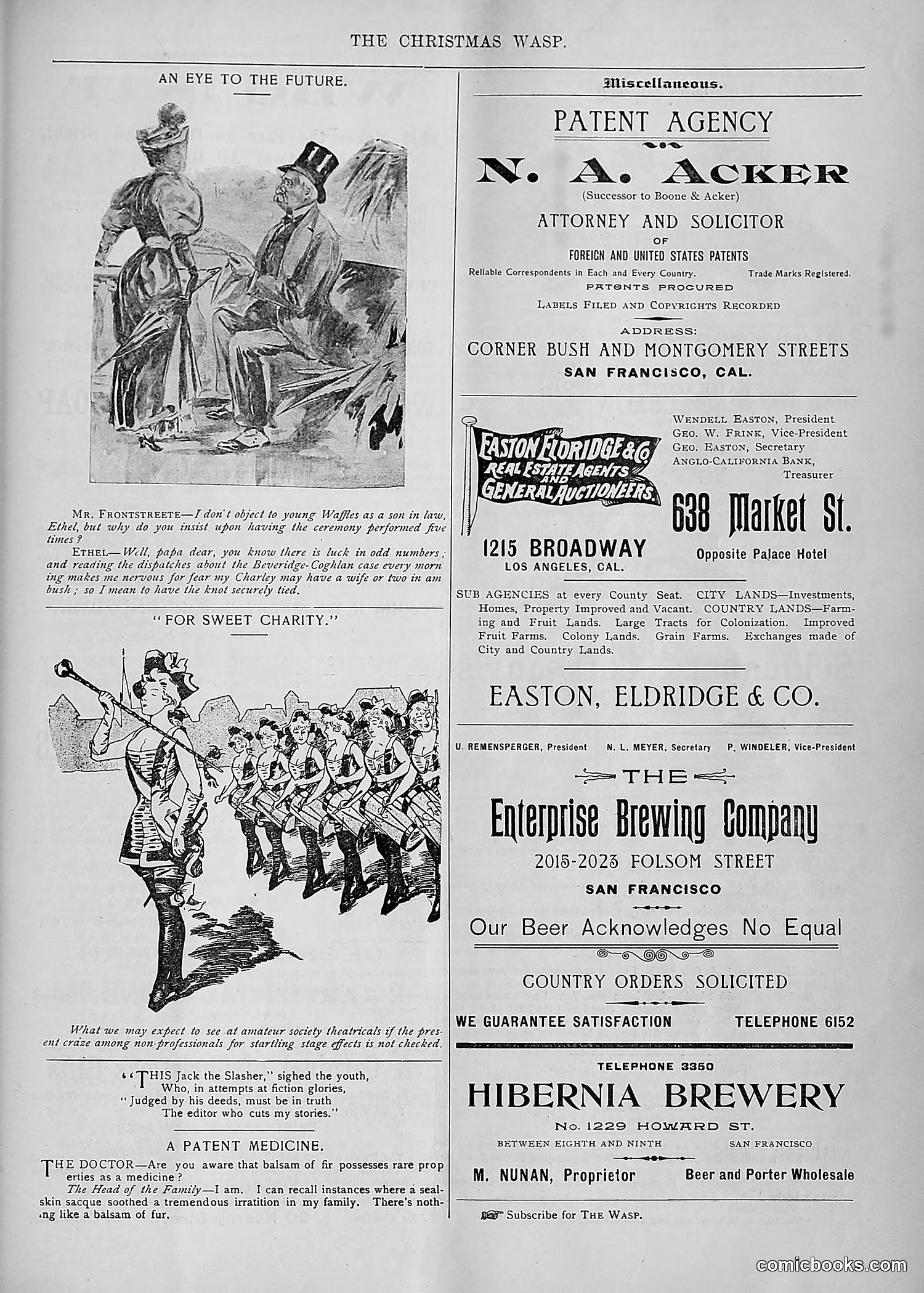 The Wasp — 1893 — page 534 of 578
