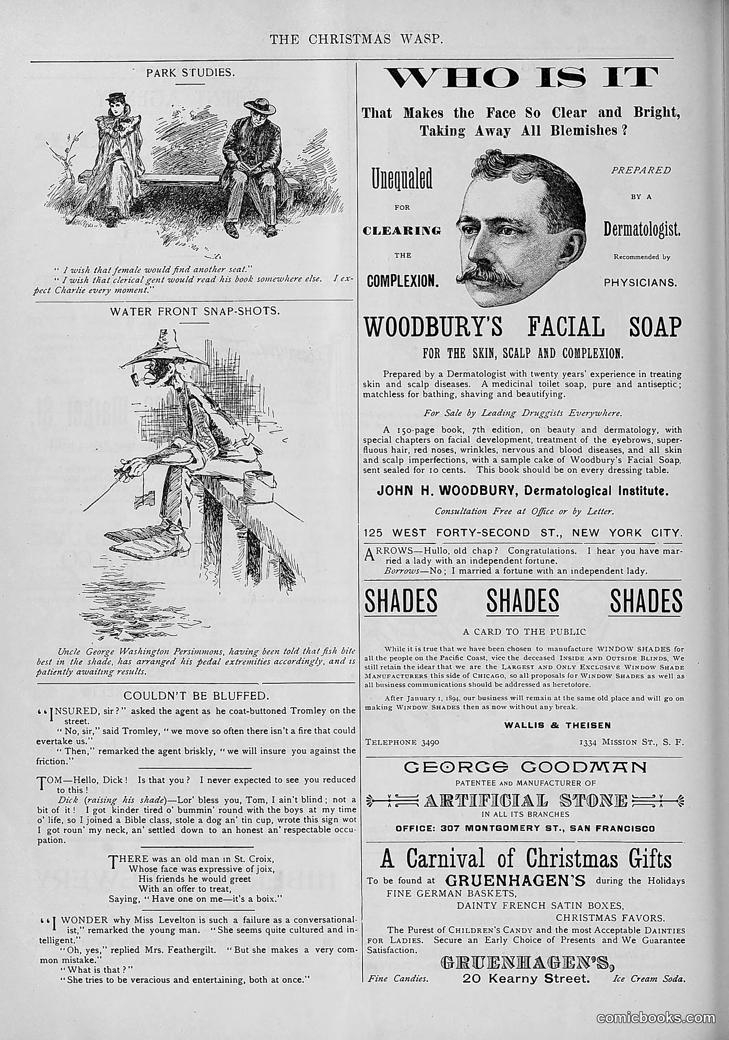 The Wasp — 1893 — page 535 of 578