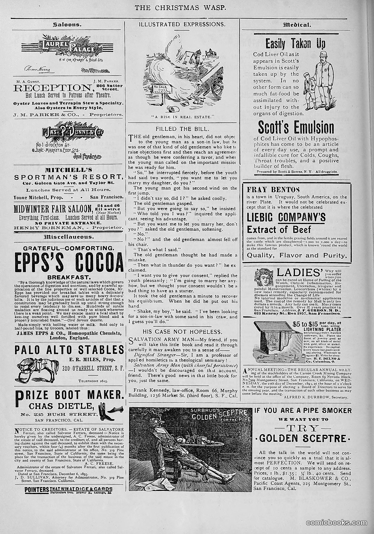 The Wasp — 1893 — page 537 of 578