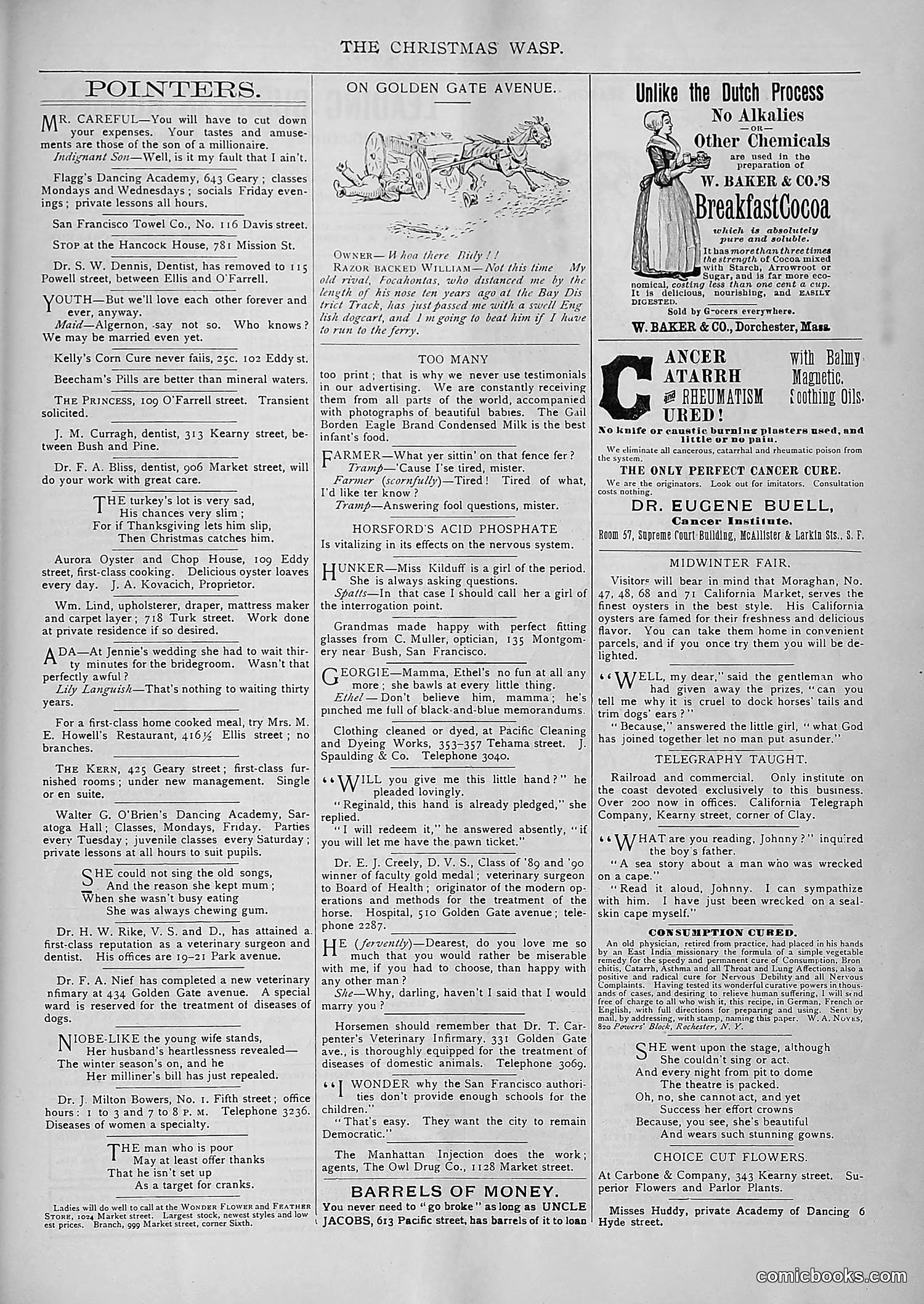 The Wasp — 1893 — page 538 of 578