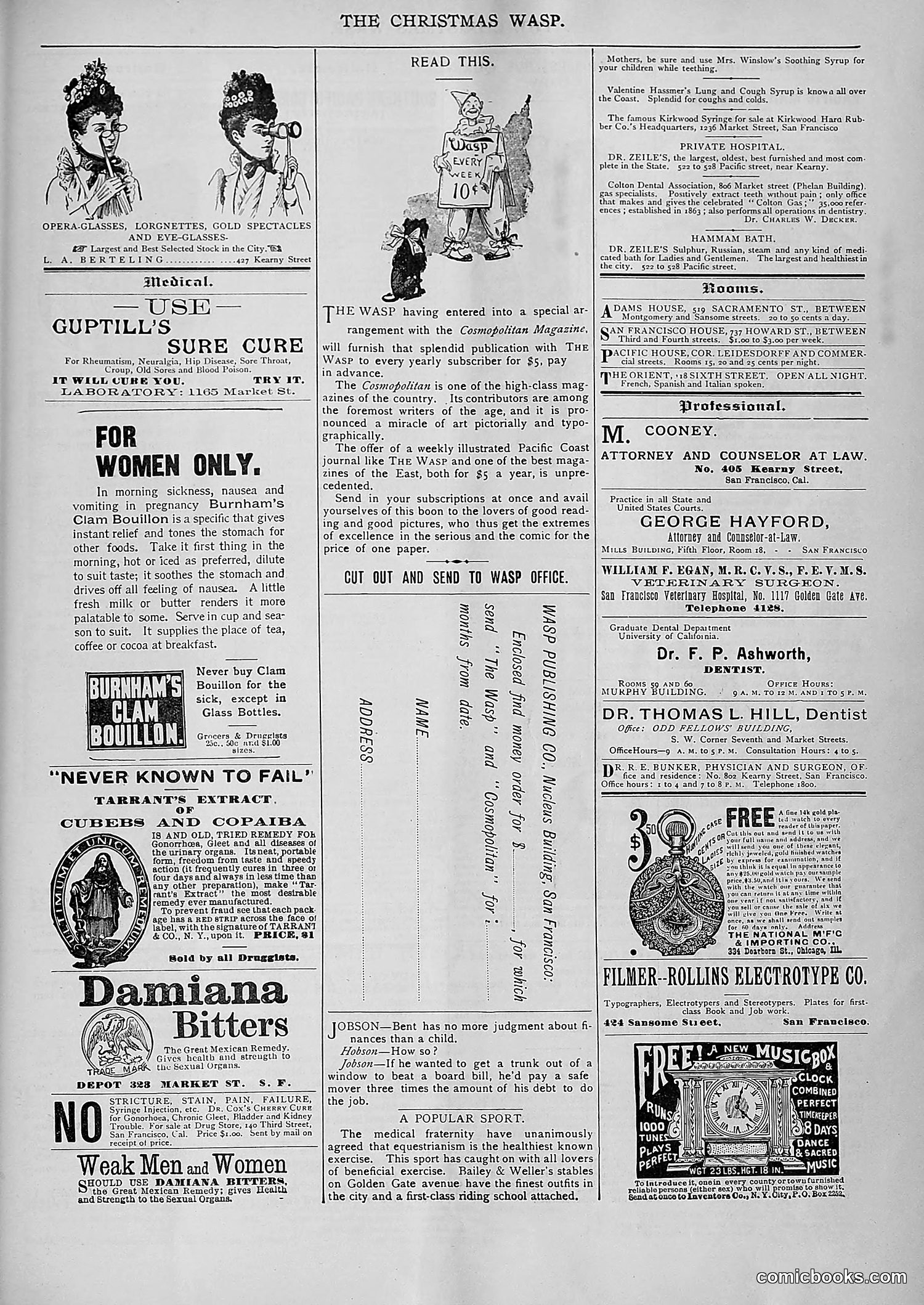 The Wasp — 1893 — page 540 of 578