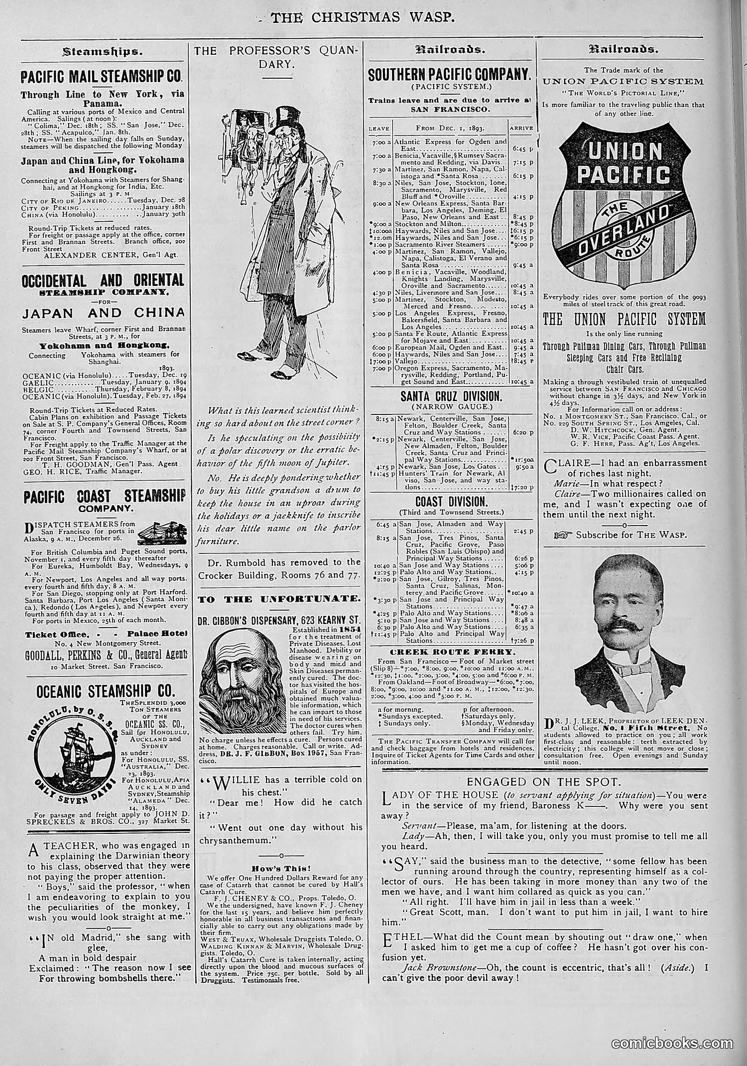 The Wasp — 1893 — page 541 of 578
