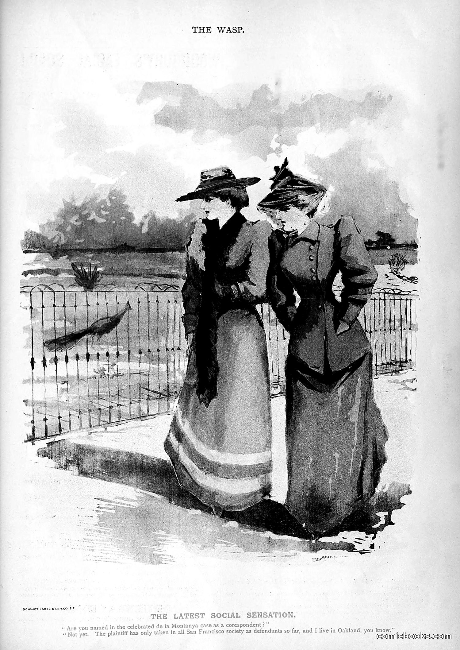 The Wasp — 1893 — page 556 of 578