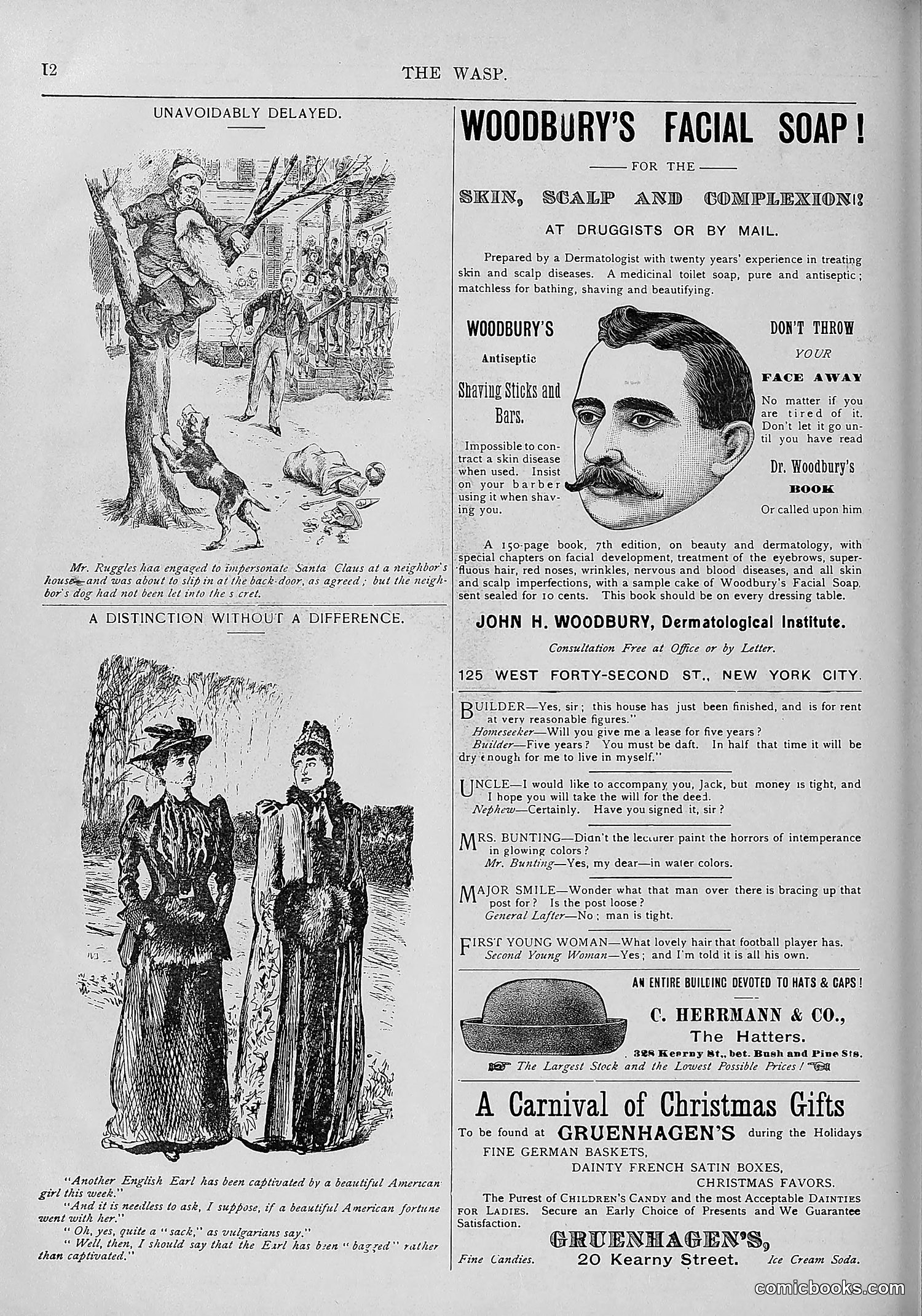 The Wasp — 1893 — page 557 of 578